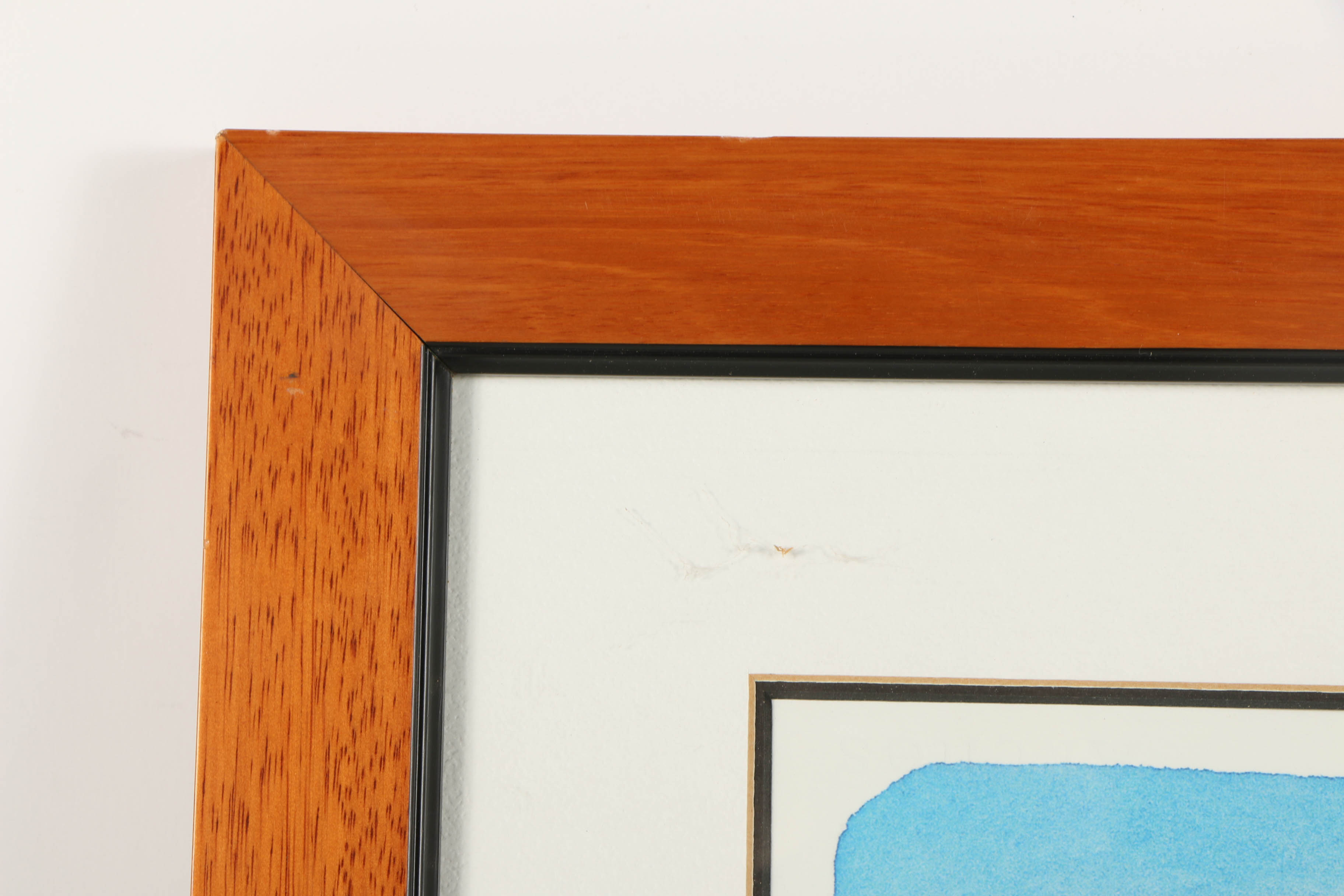 Alison Ashley Limited Edition Lithograph "Blue's Point Views"