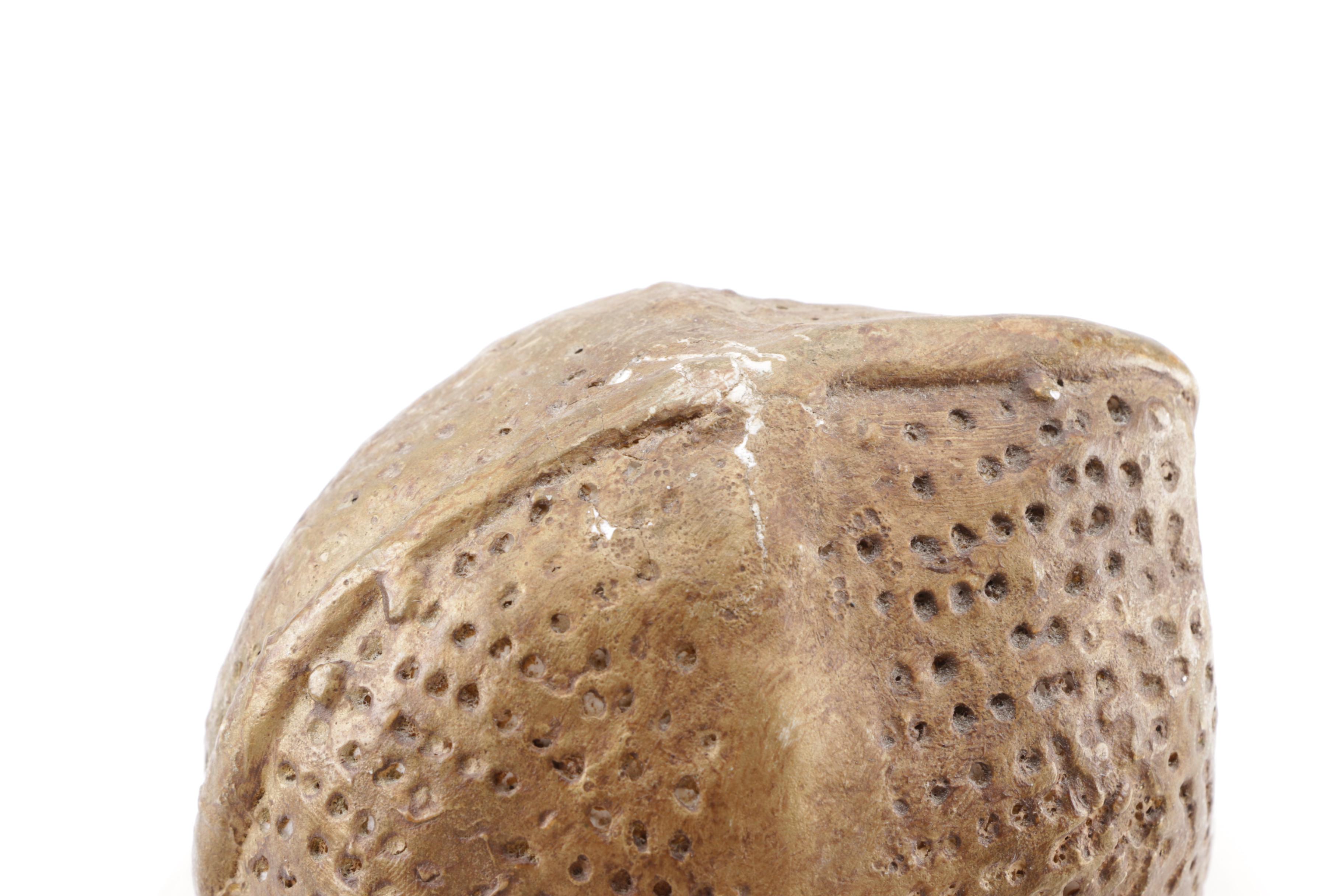 Asian Ceramic Figurine