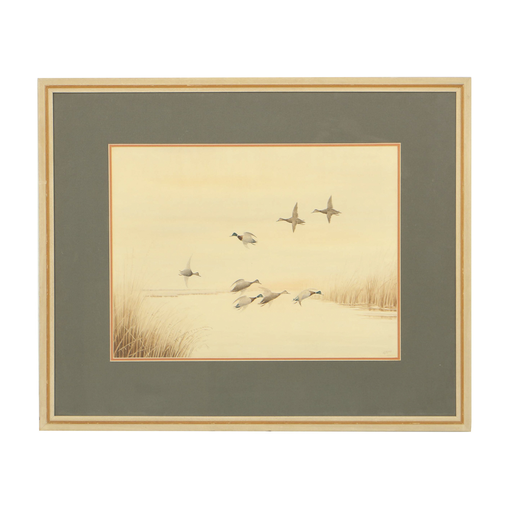 Joseph Knap Watercolor Painting on Paper of Flying Mallards