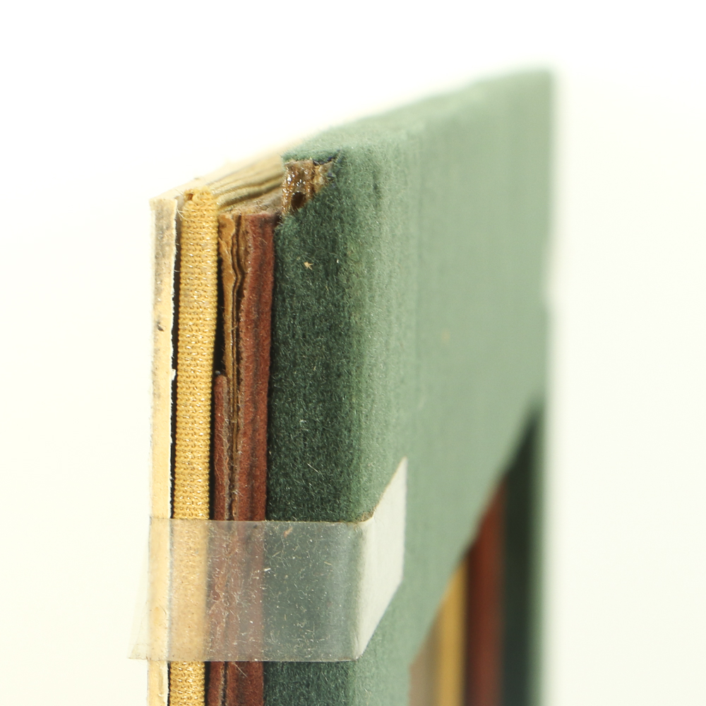 Carolyn Zimmerman Acrylic Painting on Board "Autumn Blaze"