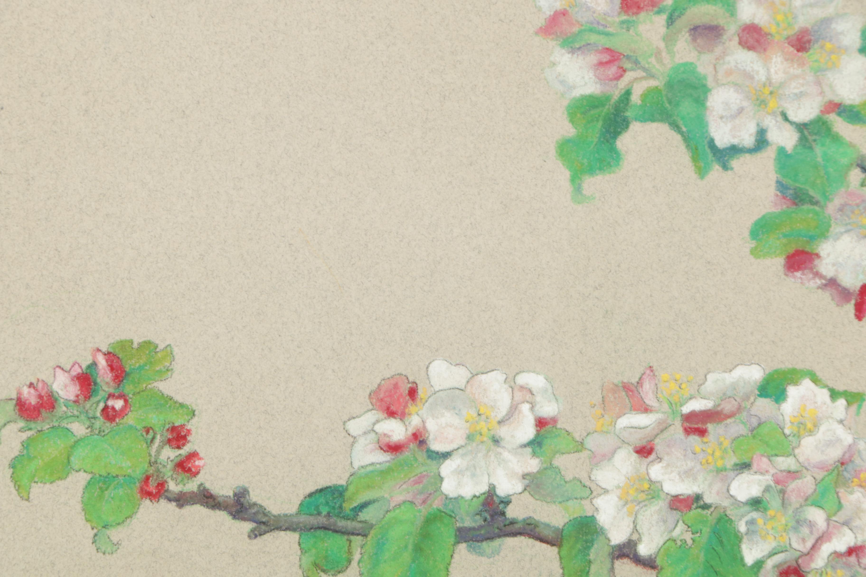 Monna Kauppinen Pastel Drawing on Paper of Cherry Blossom Branch