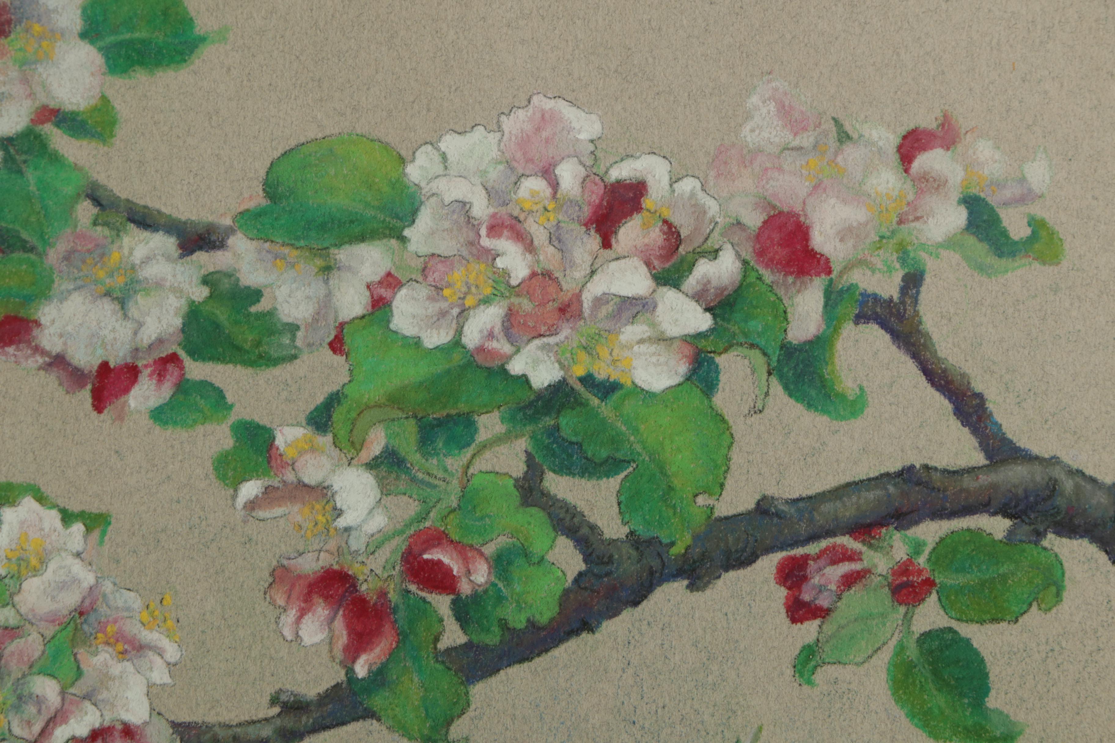 Monna Kauppinen Pastel Drawing on Paper of Cherry Blossom Branch