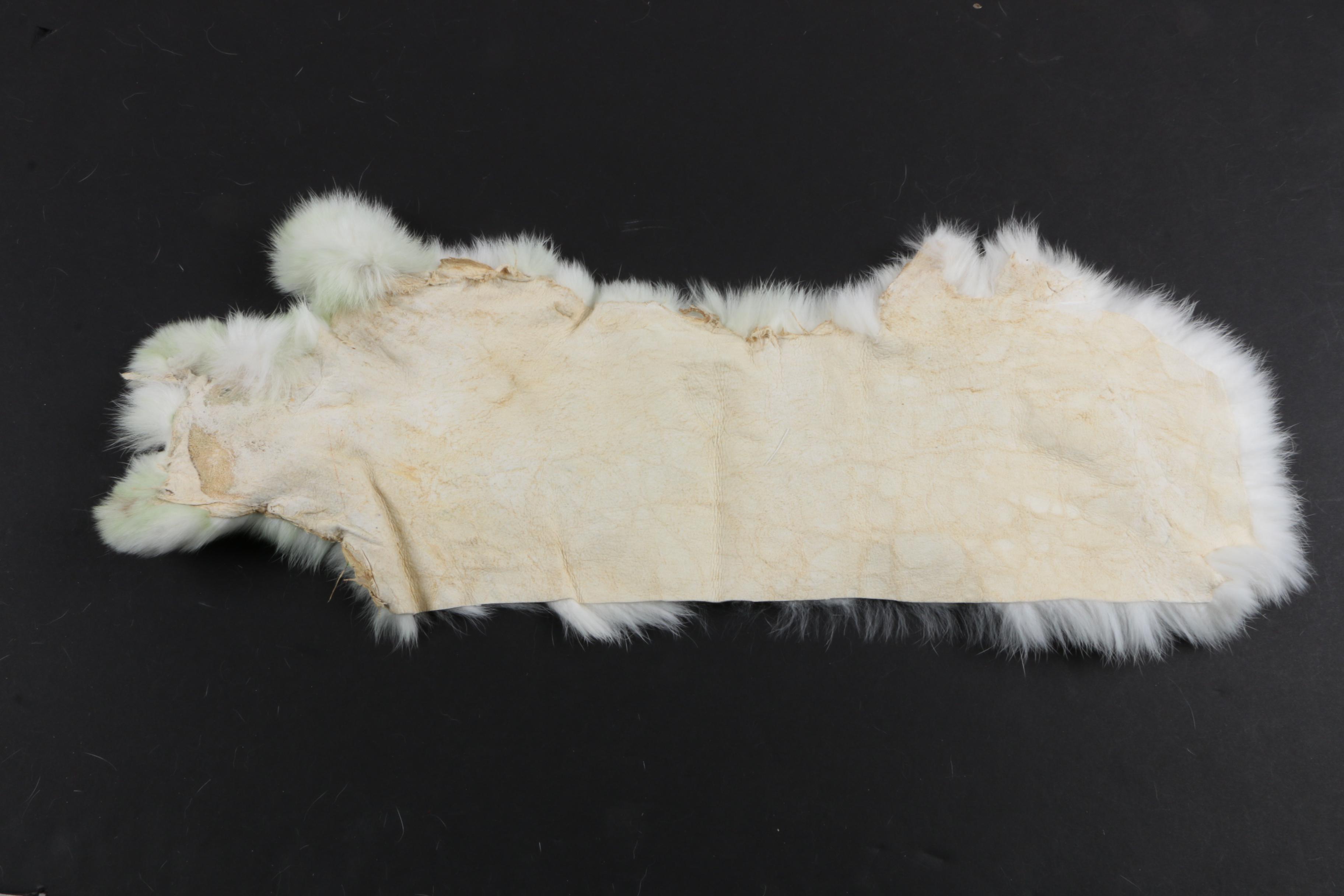 Rabbit Fur Pelts
