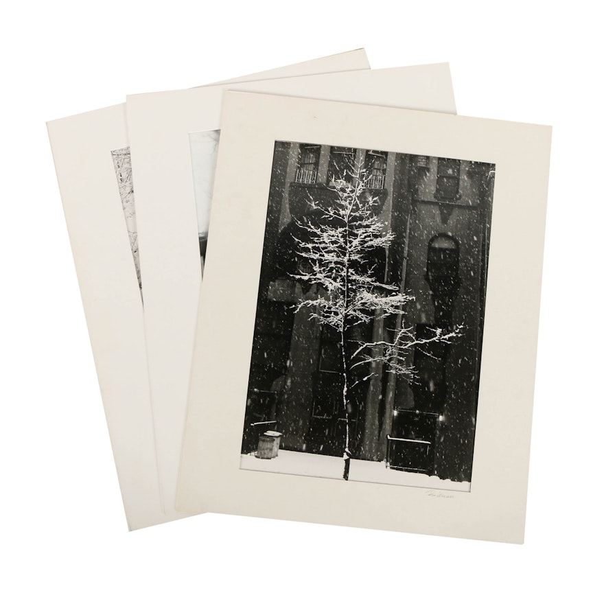 Collection of Don Werner Black and White Analog Photographs of Snowy Scenes