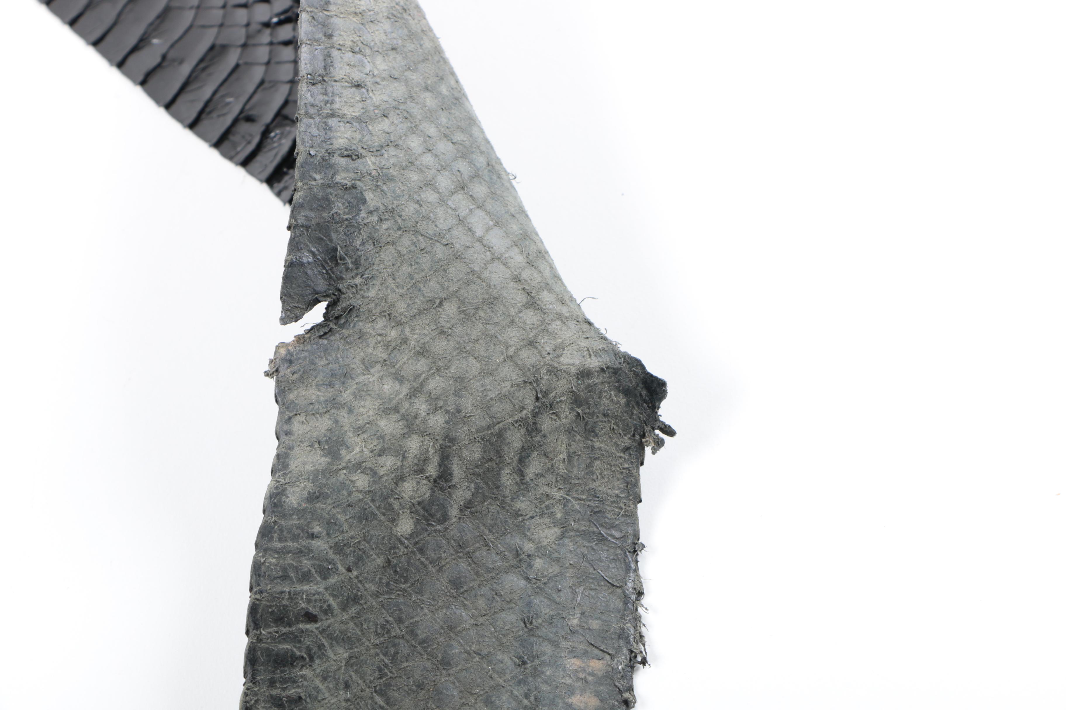 Black Snakeskin Hide
