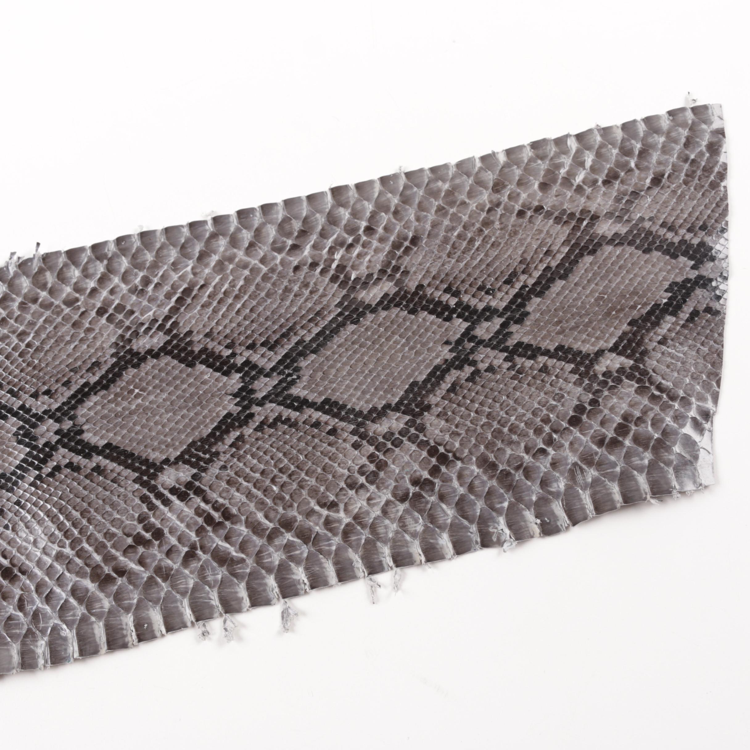 Grey Python Snakeskin Hide