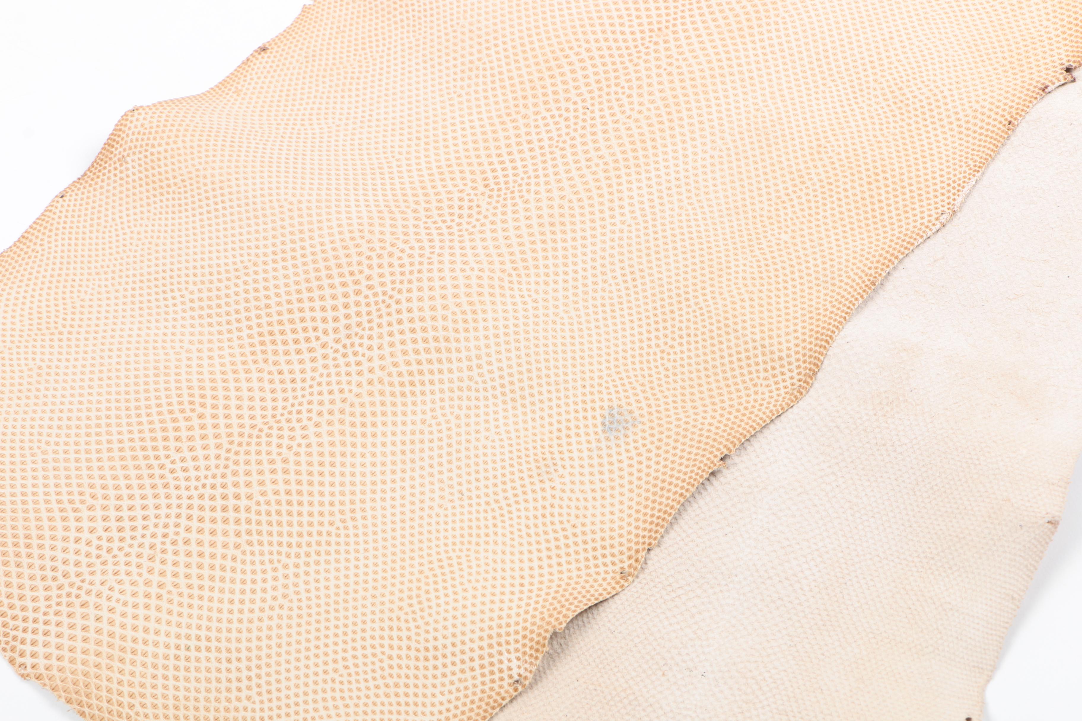 Tan Karung Snakeskin Hide