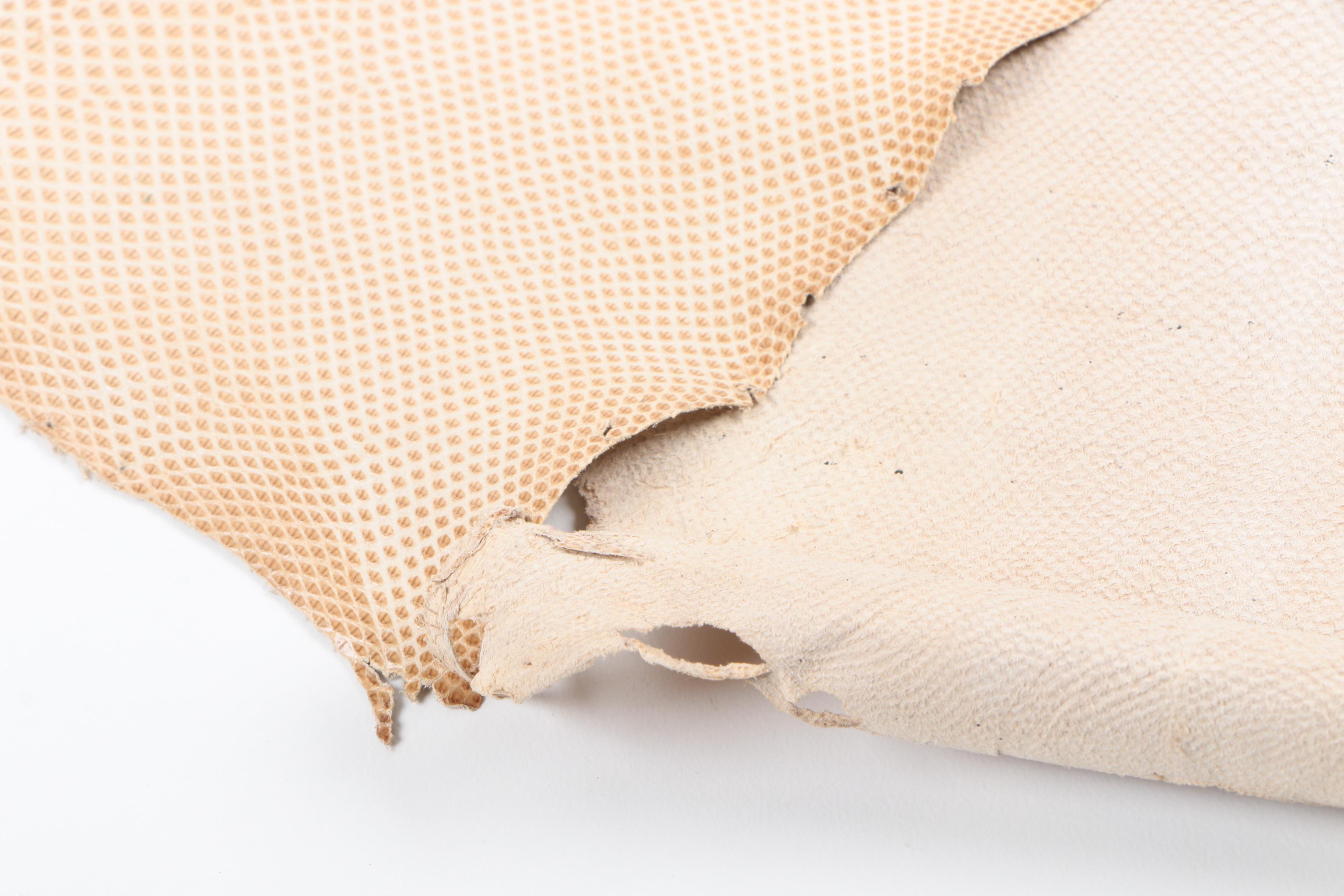 Tan Karung Snakeskin Hide