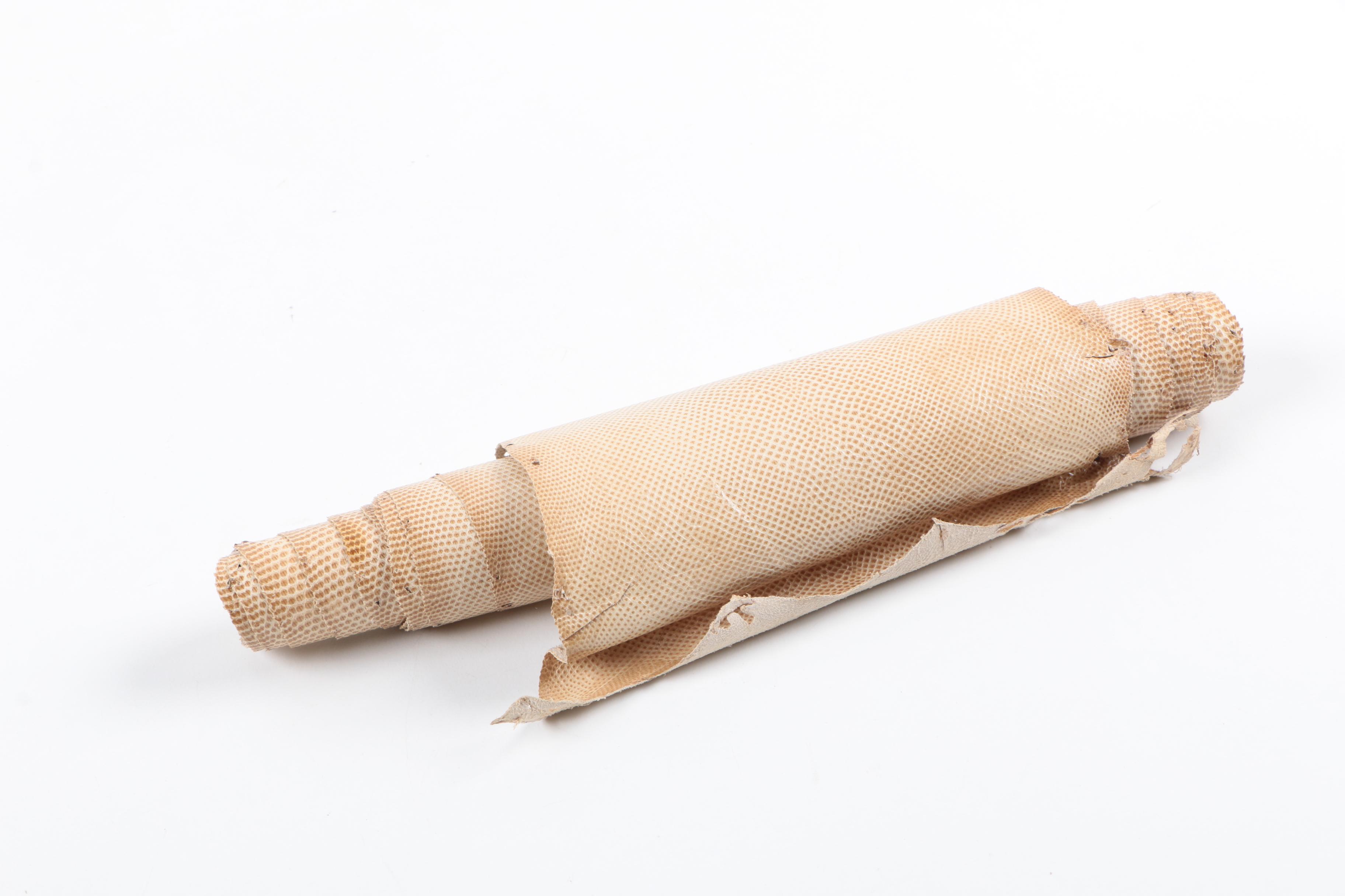 Tan Karung Snakeskin Hide