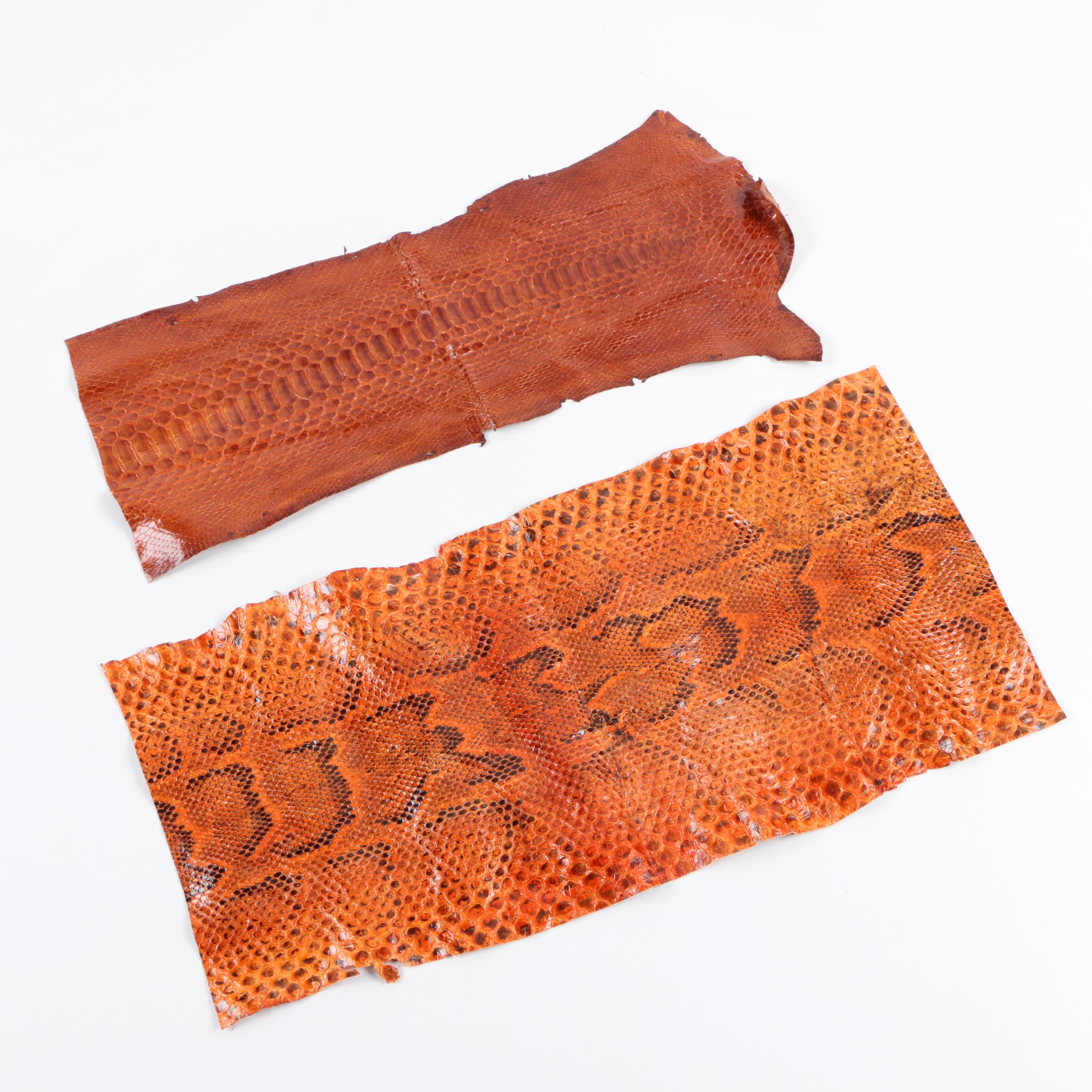 Snakeskin Hides Including Python