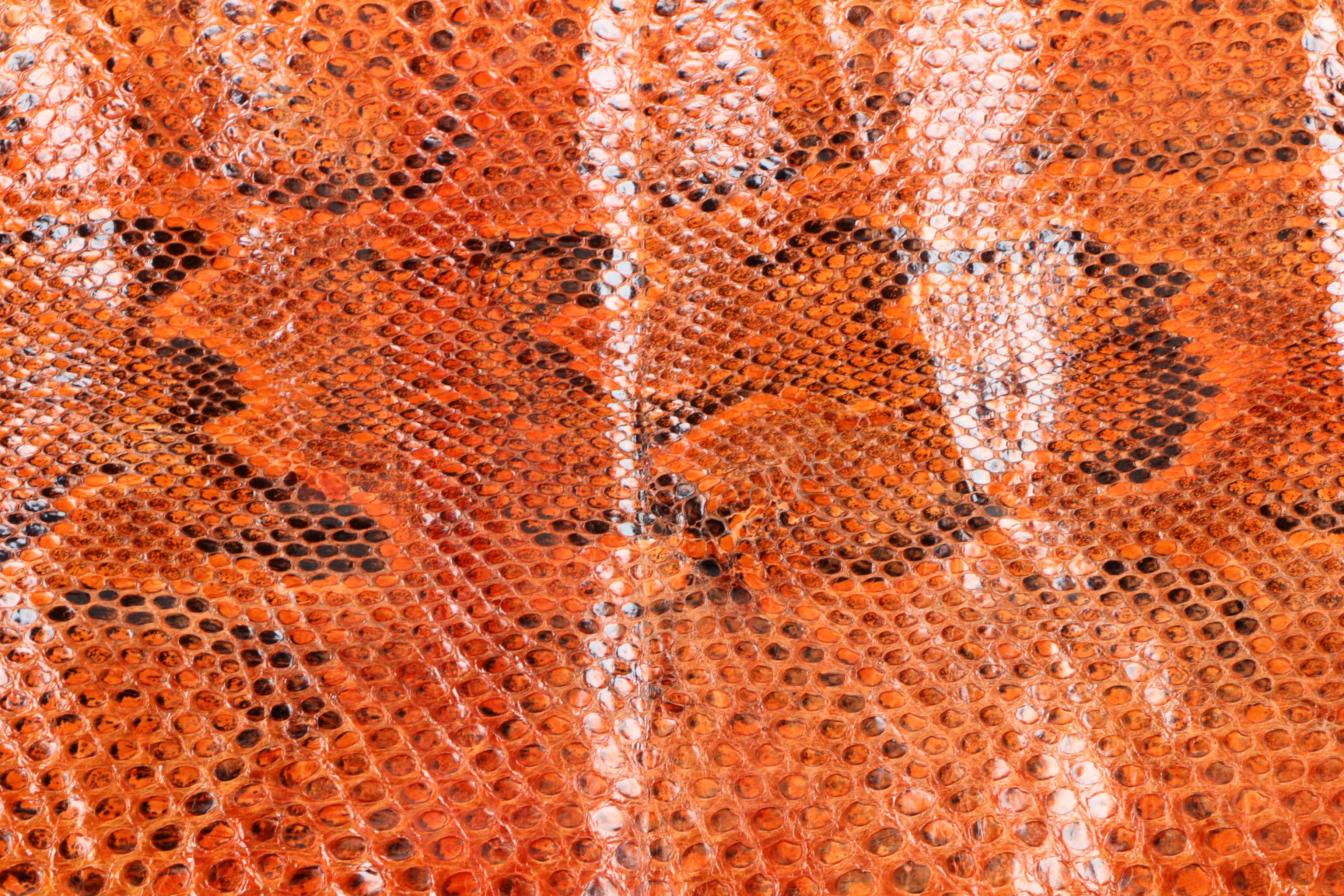 Snakeskin Hides Including Python