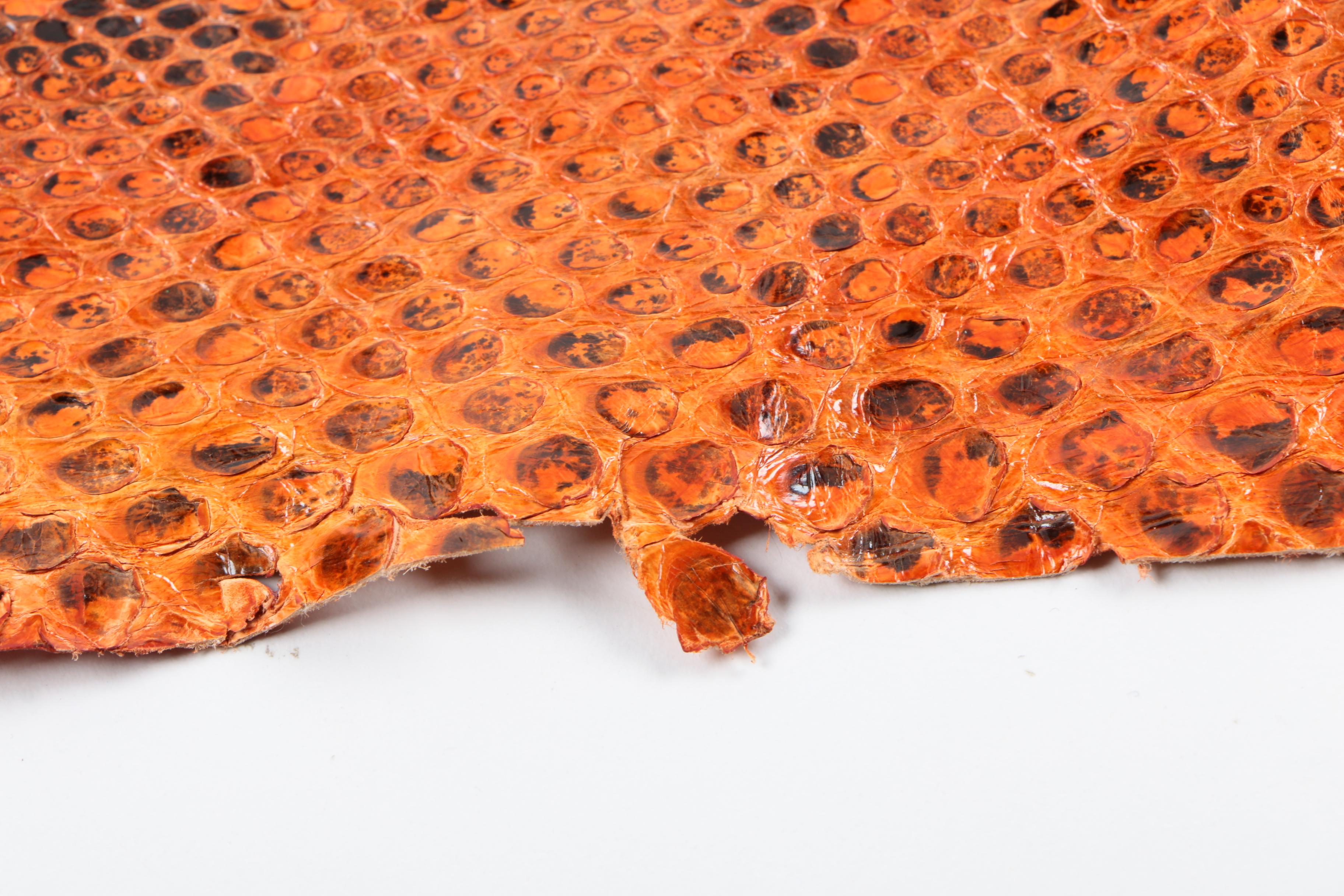 Snakeskin Hides Including Python