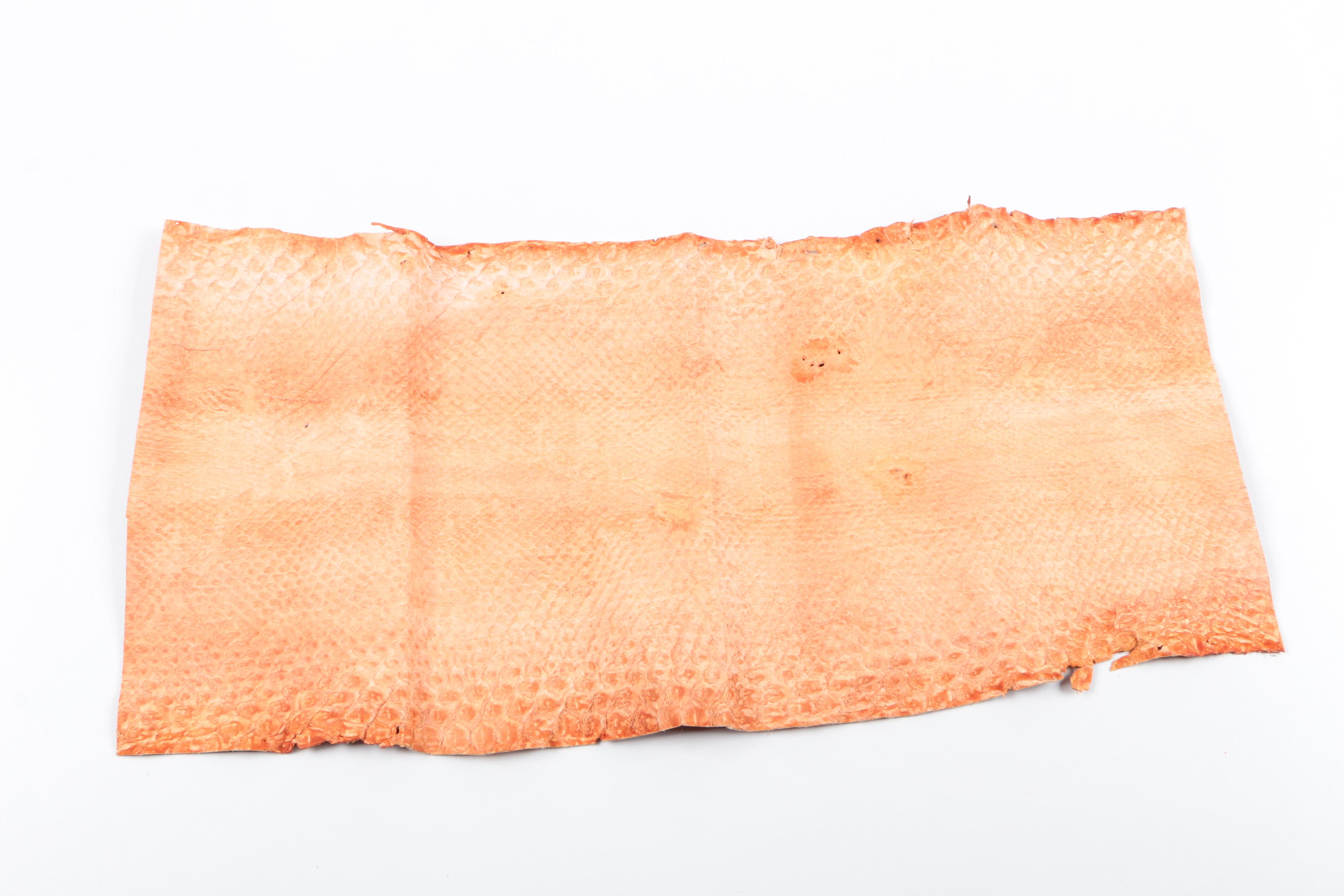 Snakeskin Hides Including Python