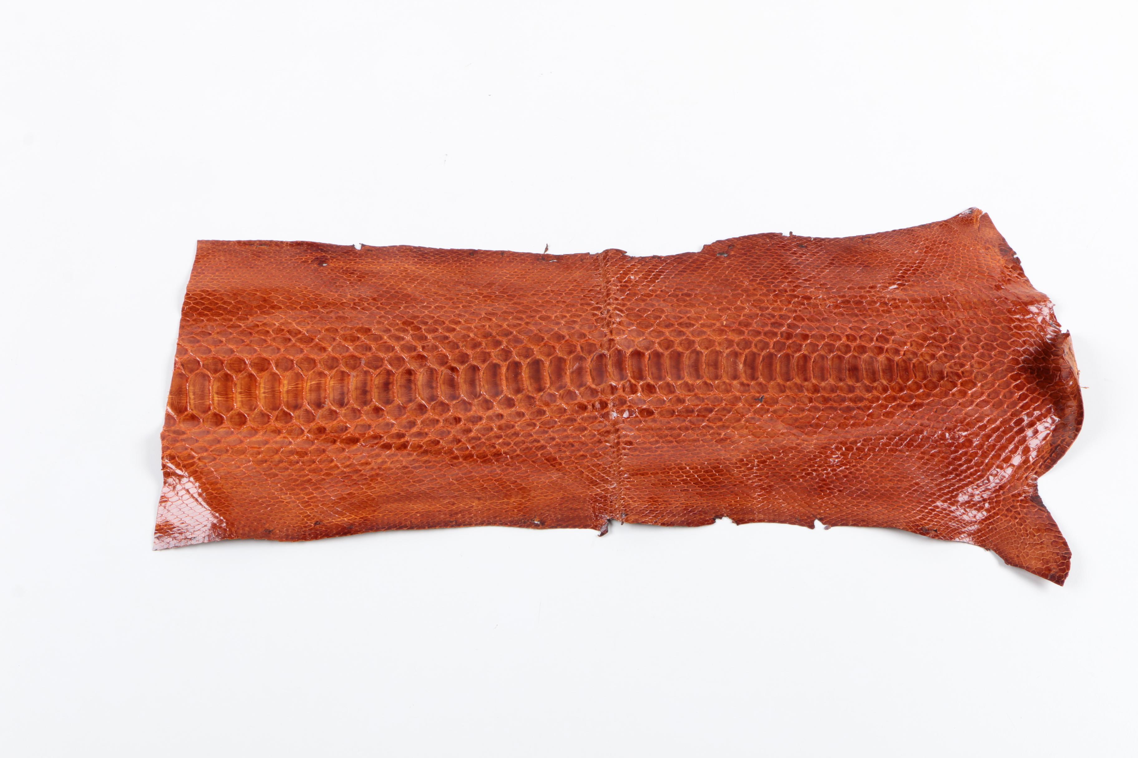 Snakeskin Hides Including Python
