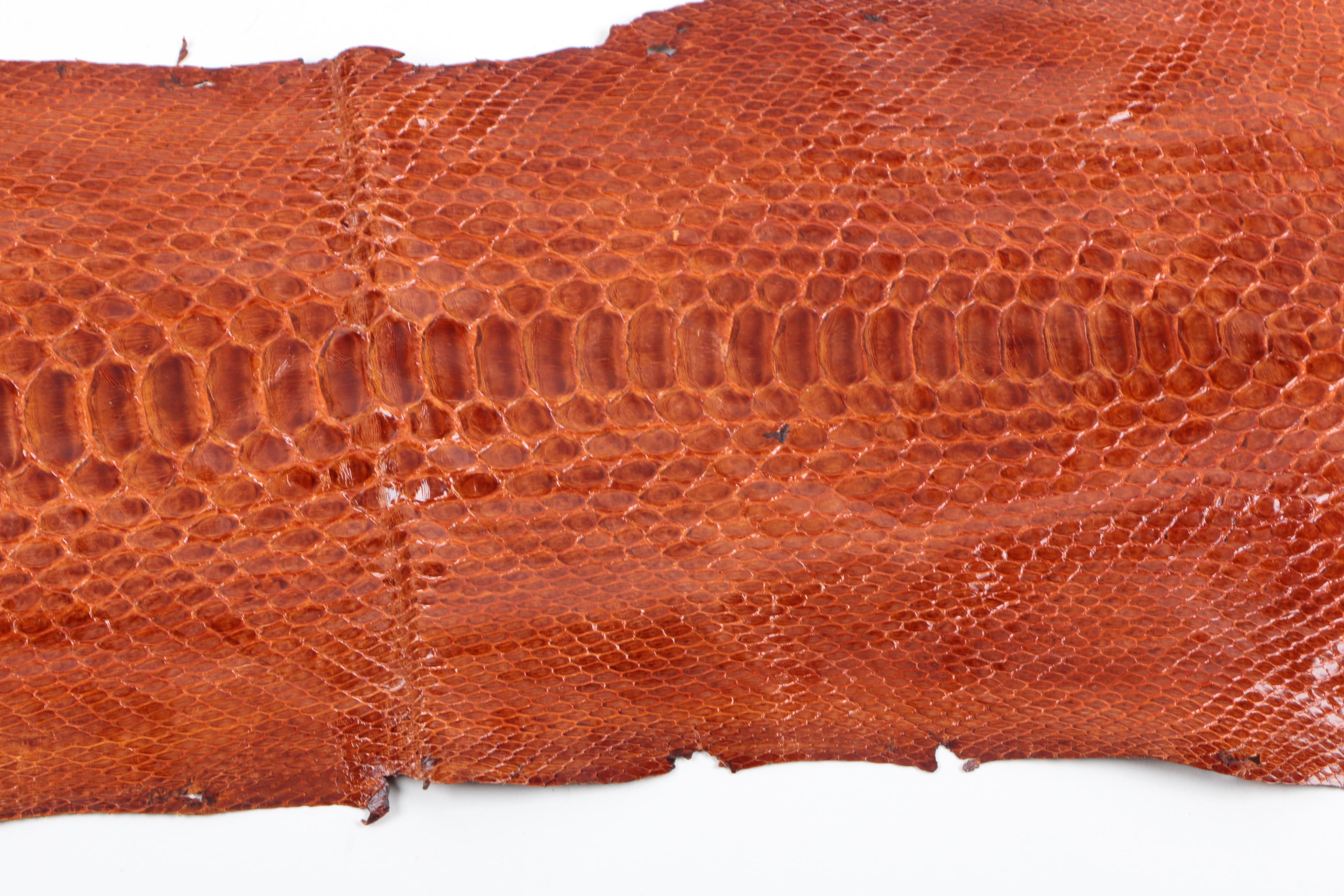 Snakeskin Hides Including Python