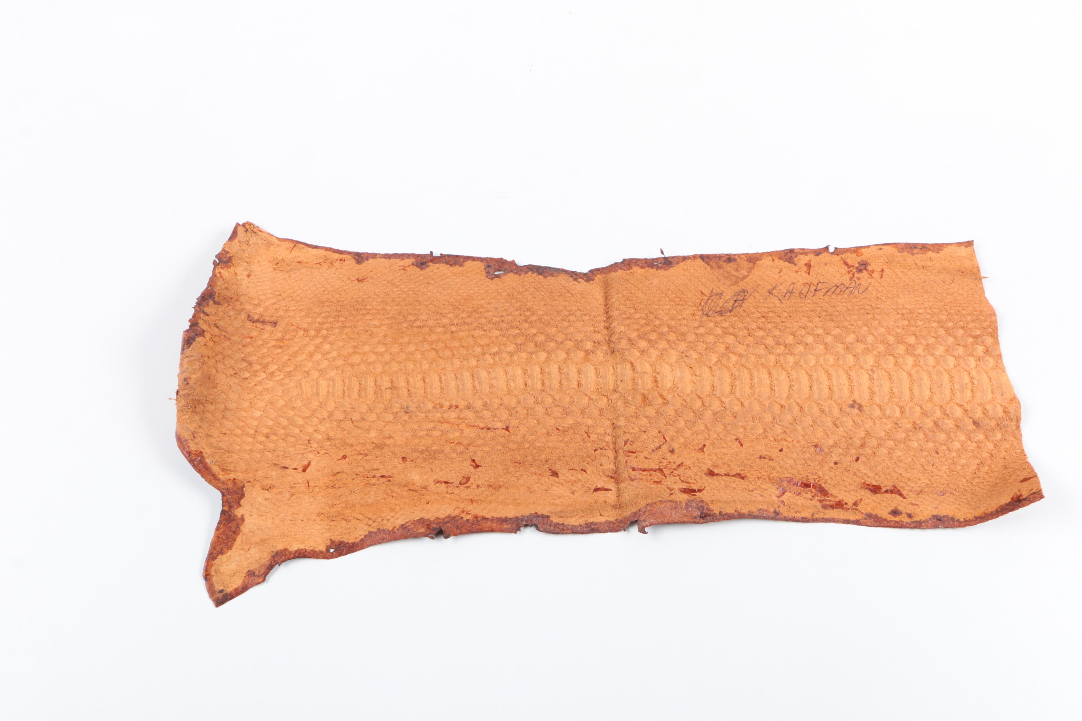 Snakeskin Hides Including Python