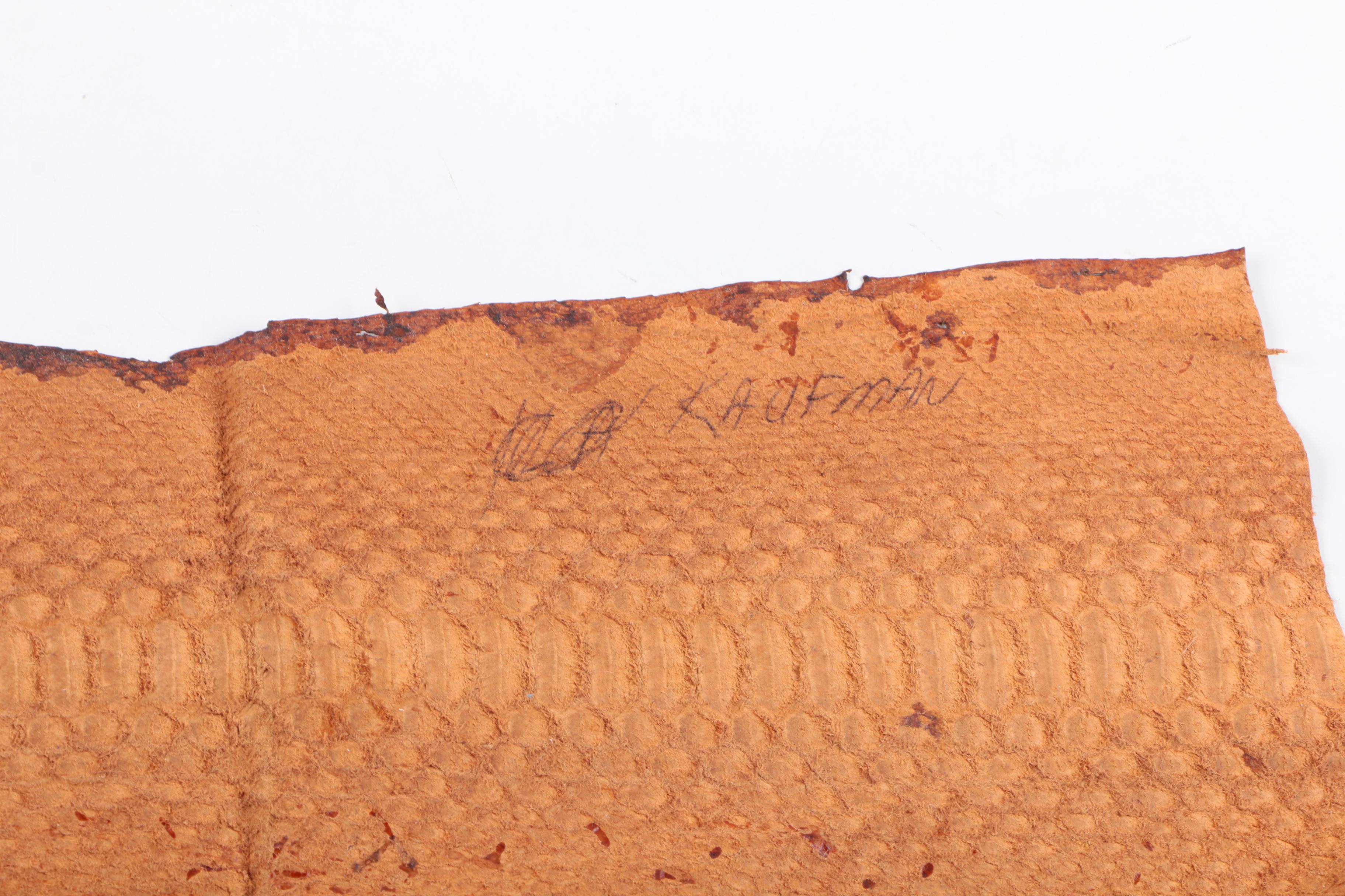 Snakeskin Hides Including Python