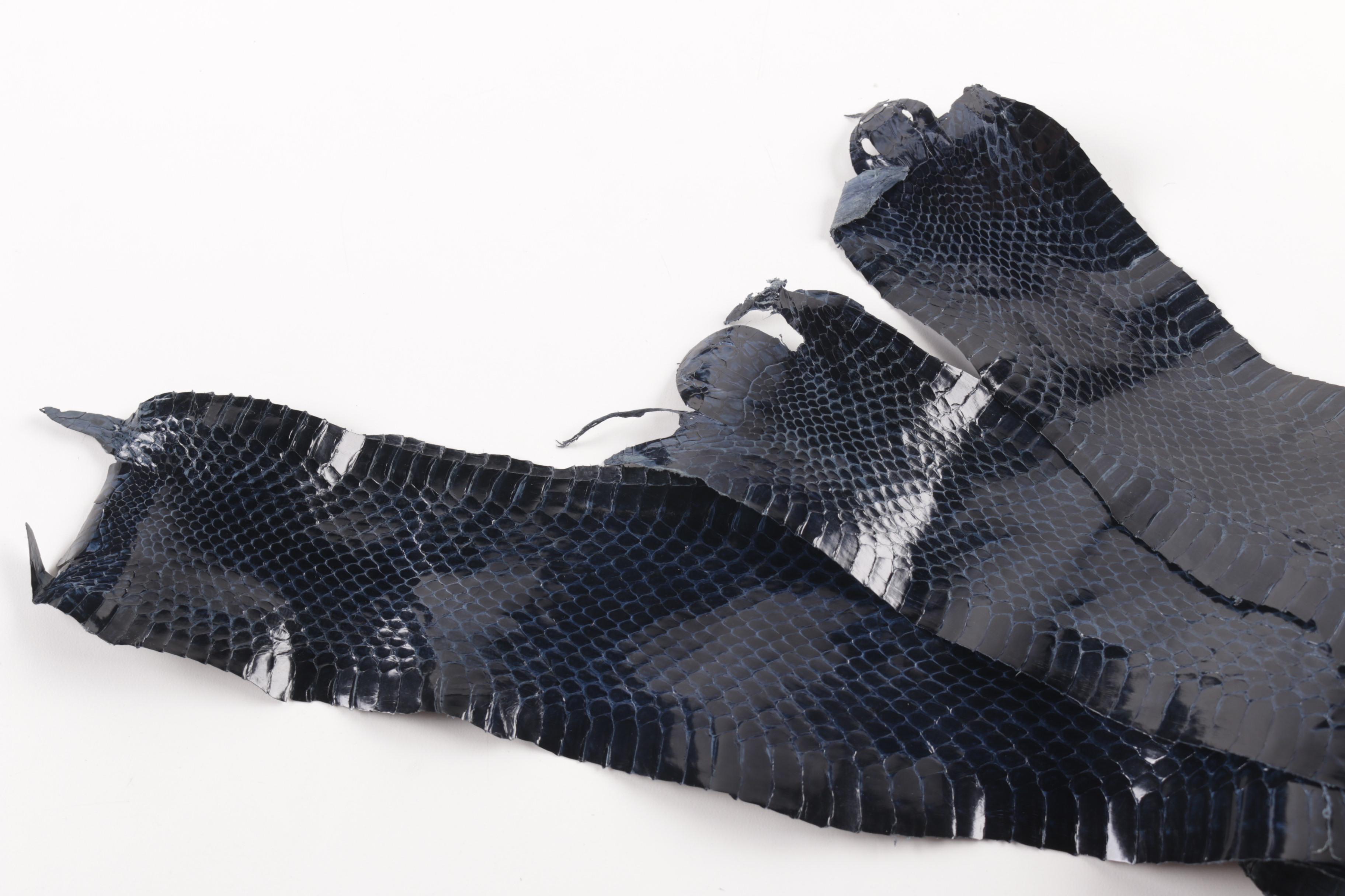Navy Blue Snakeskin Hides
