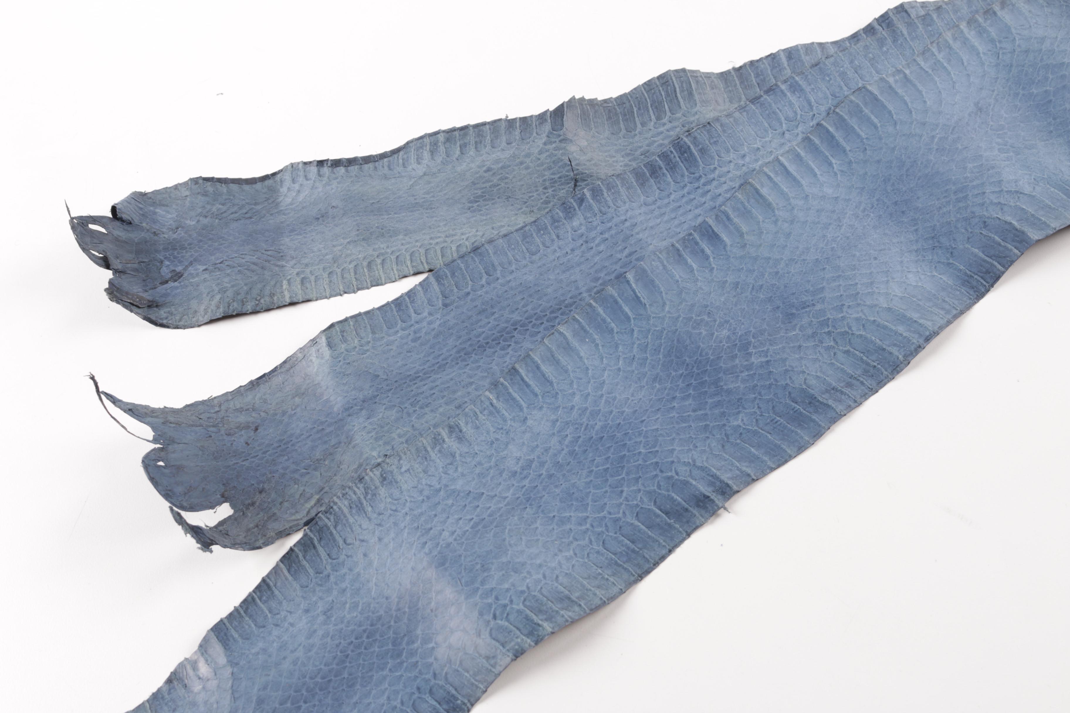 Navy Blue Snakeskin Hides