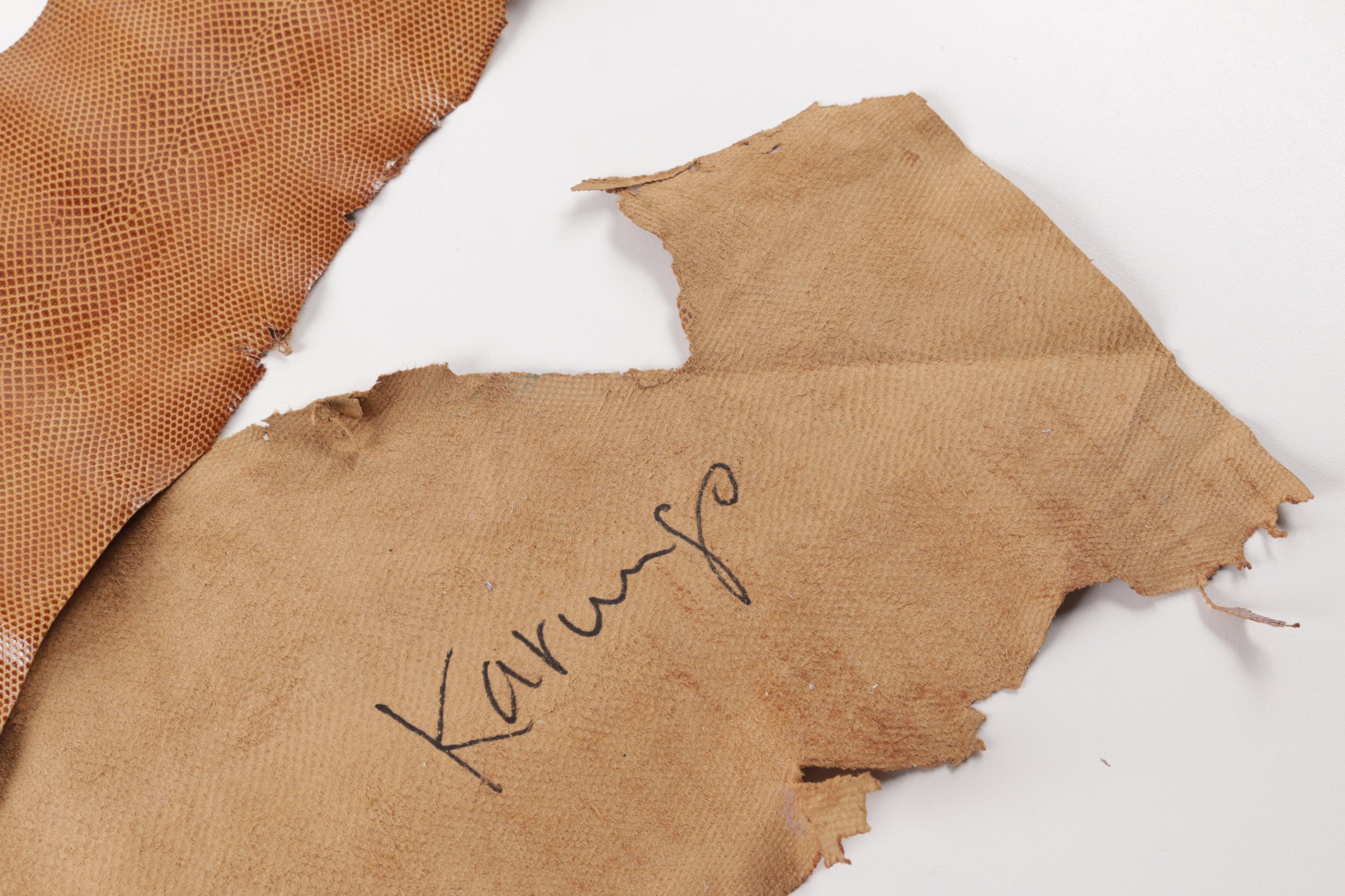 Brown Karung Snakeskin Hides