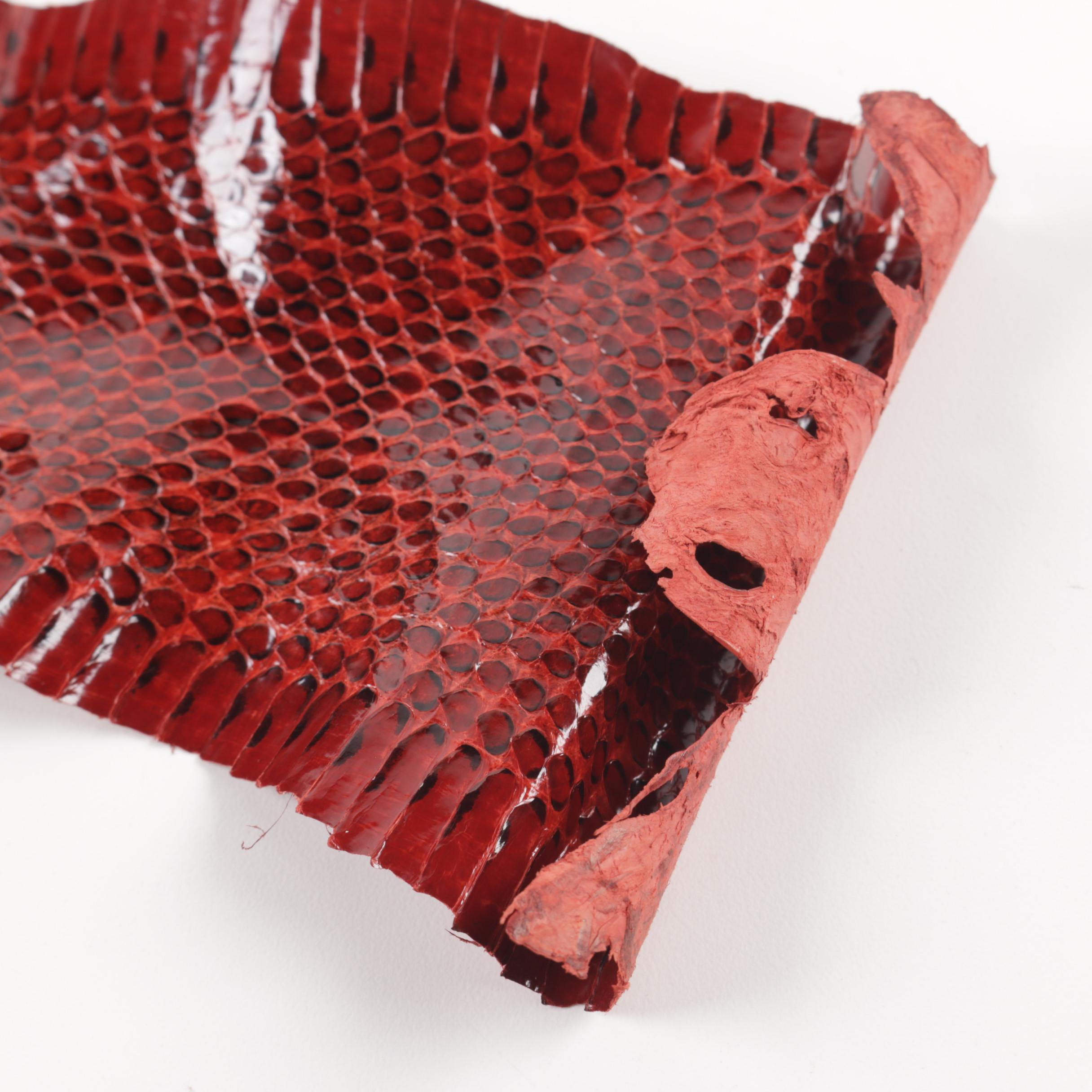 Red Snakeskin Hide