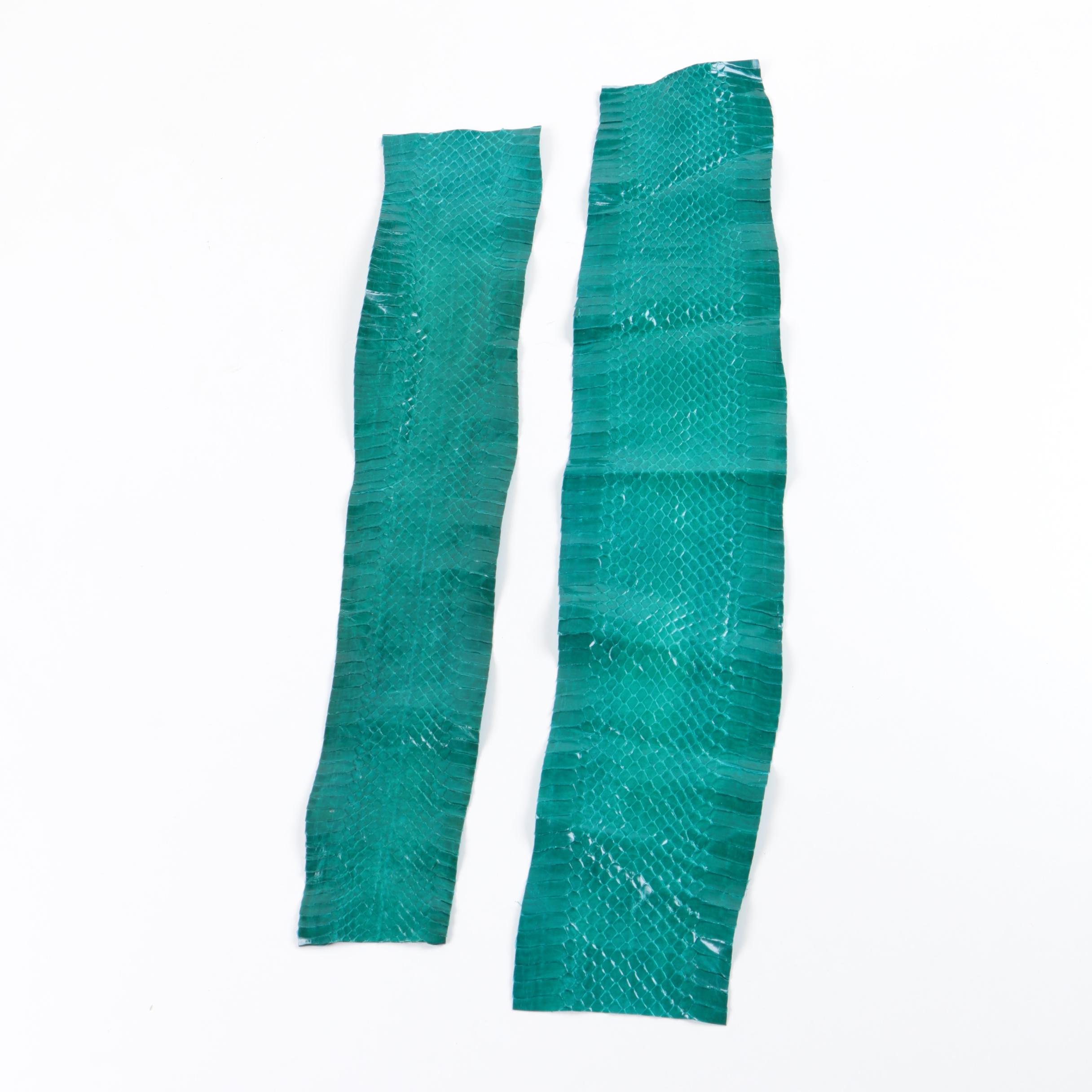 Green Snakeskin Hides