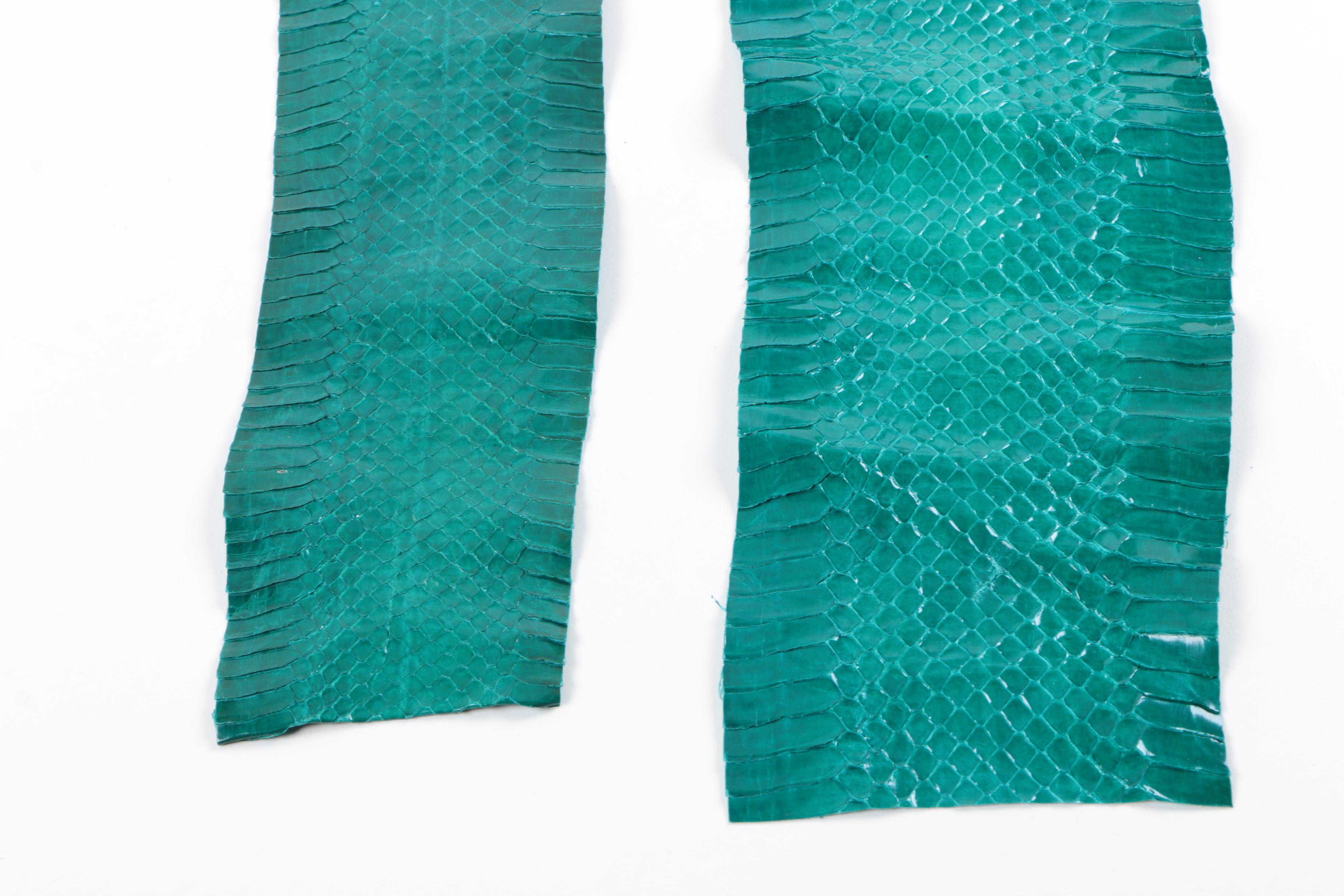 Green Snakeskin Hides