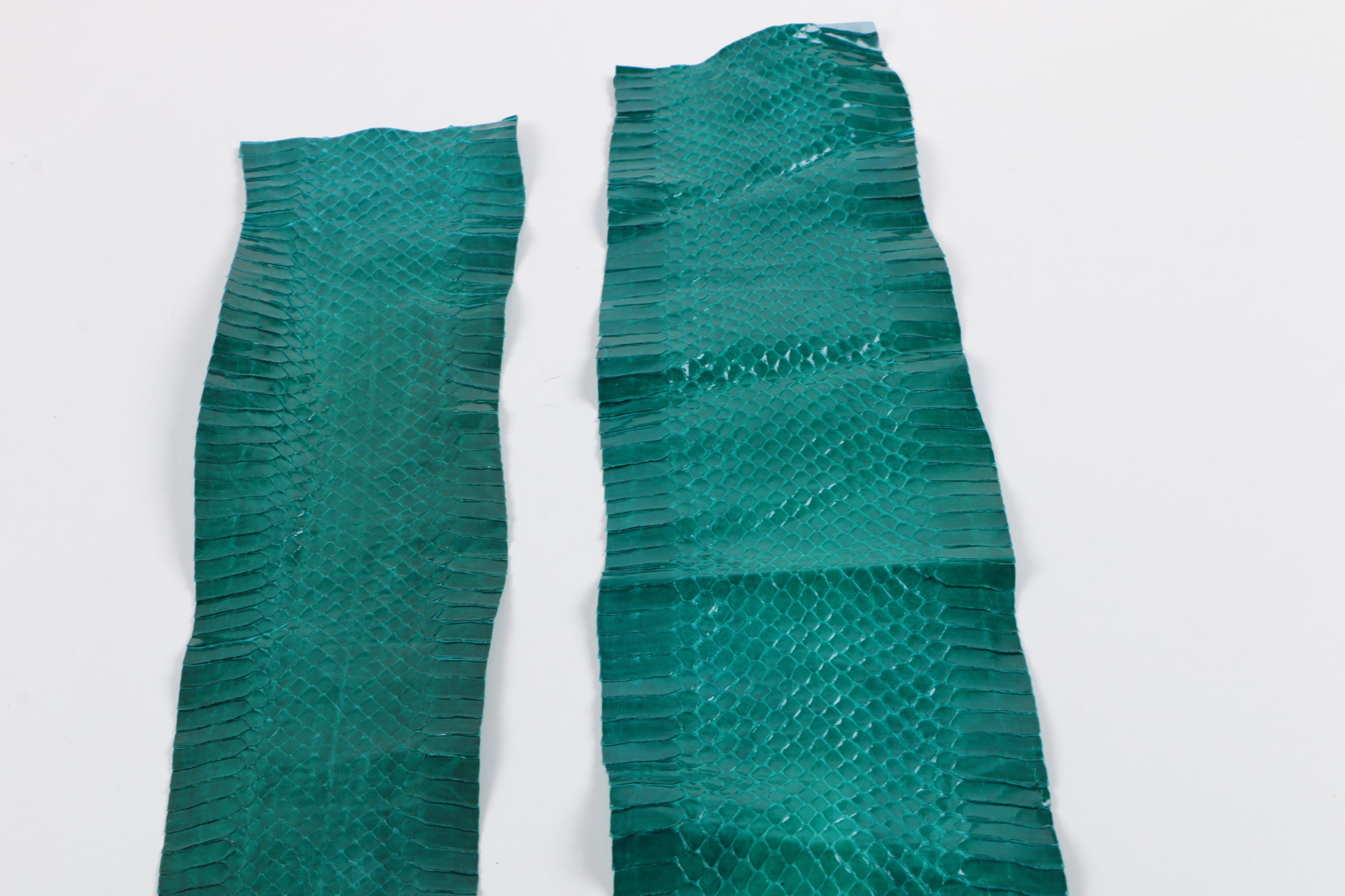 Green Snakeskin Hides