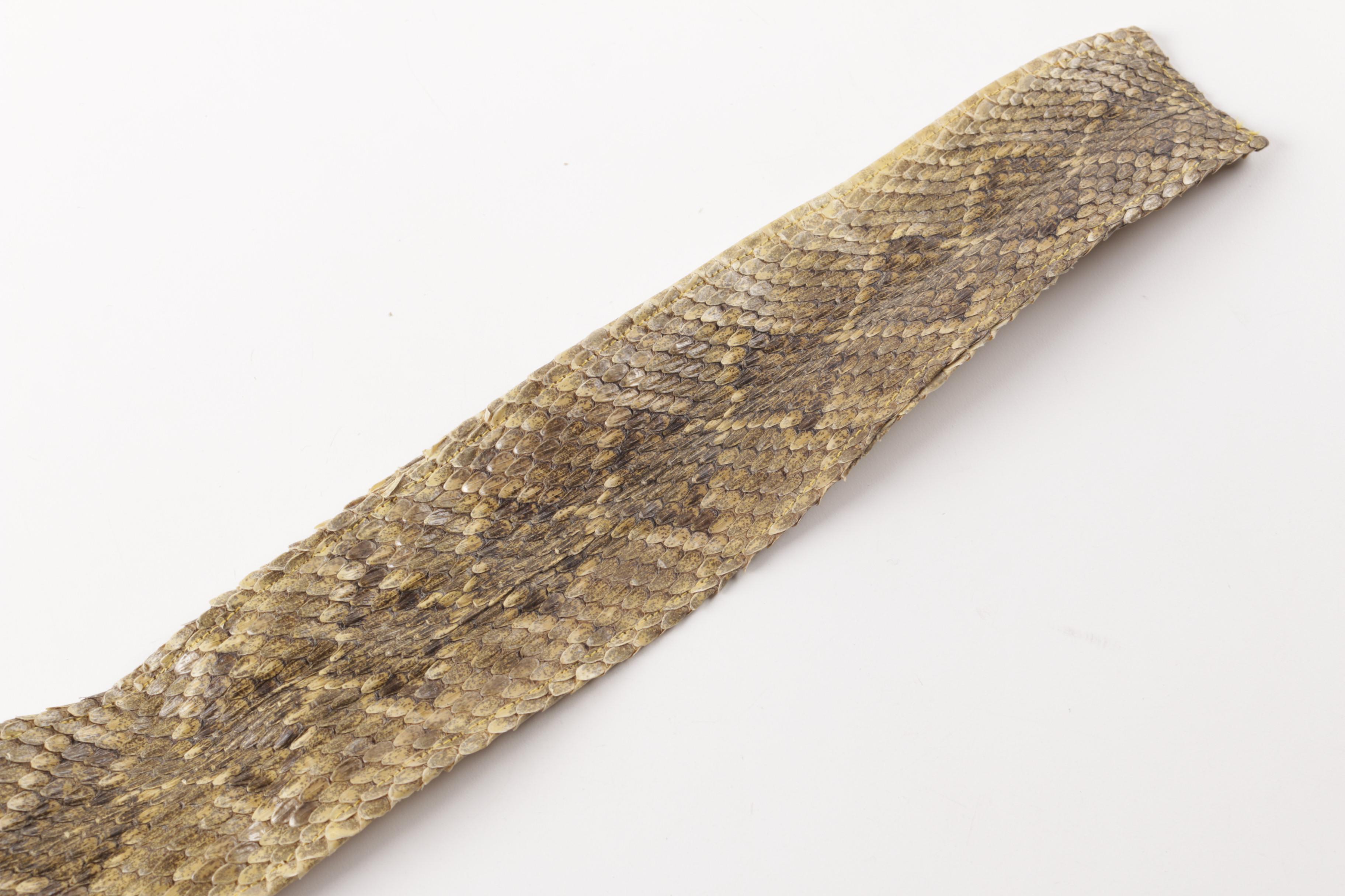 Rattlesnake Hide