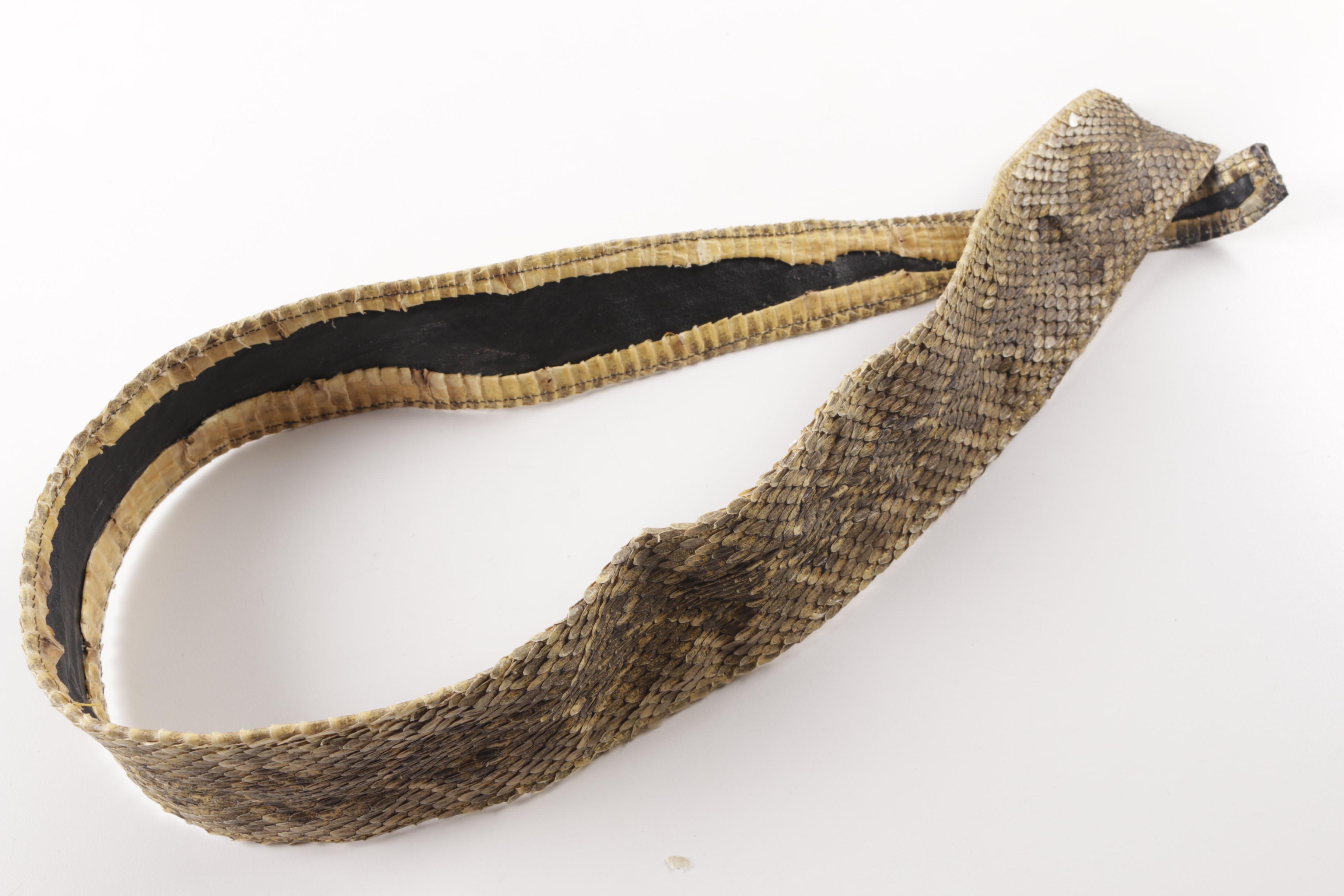 Rattlesnake Hide