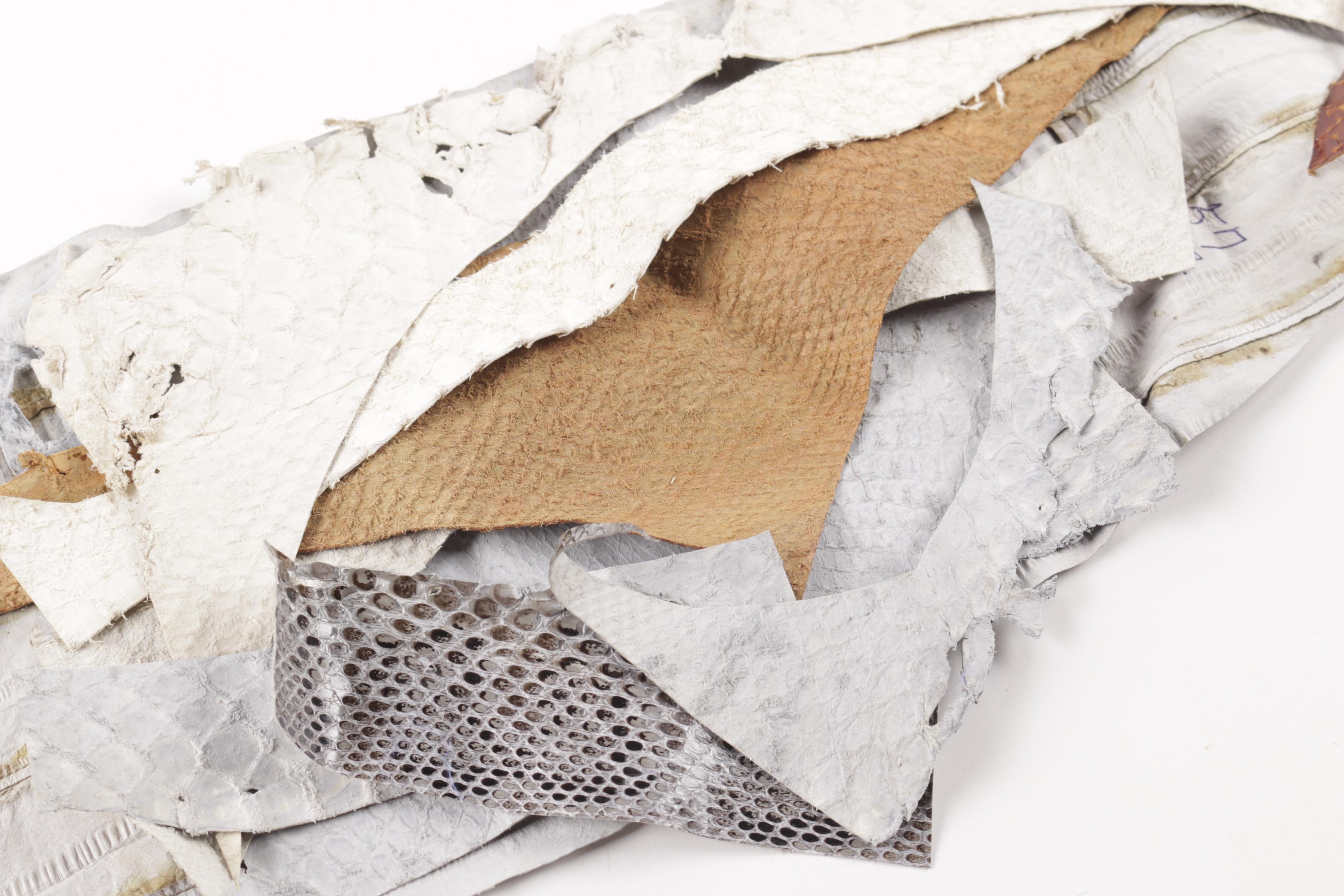 Snake Skin Leather and Hide Scraps