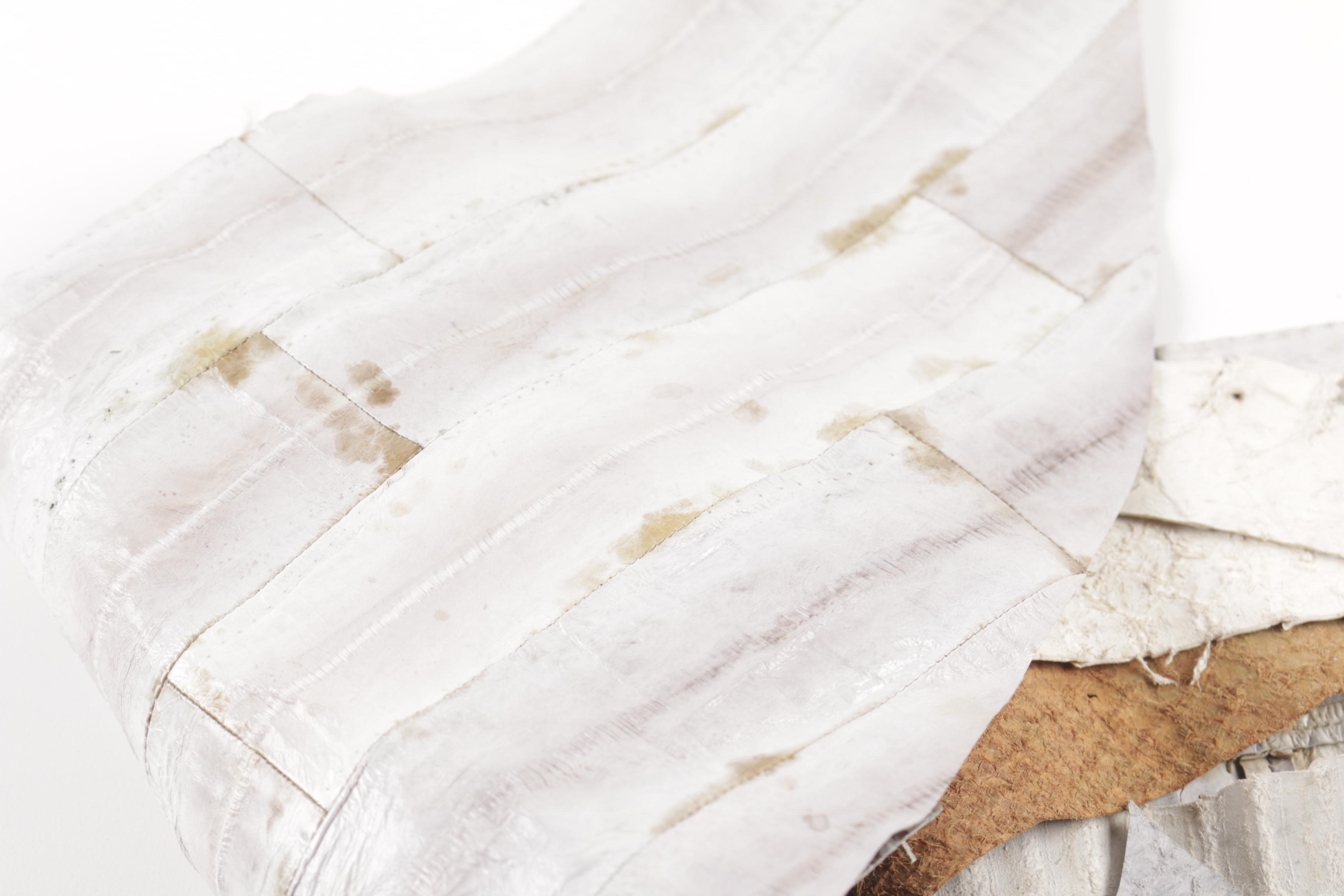 Snake Skin Leather and Hide Scraps