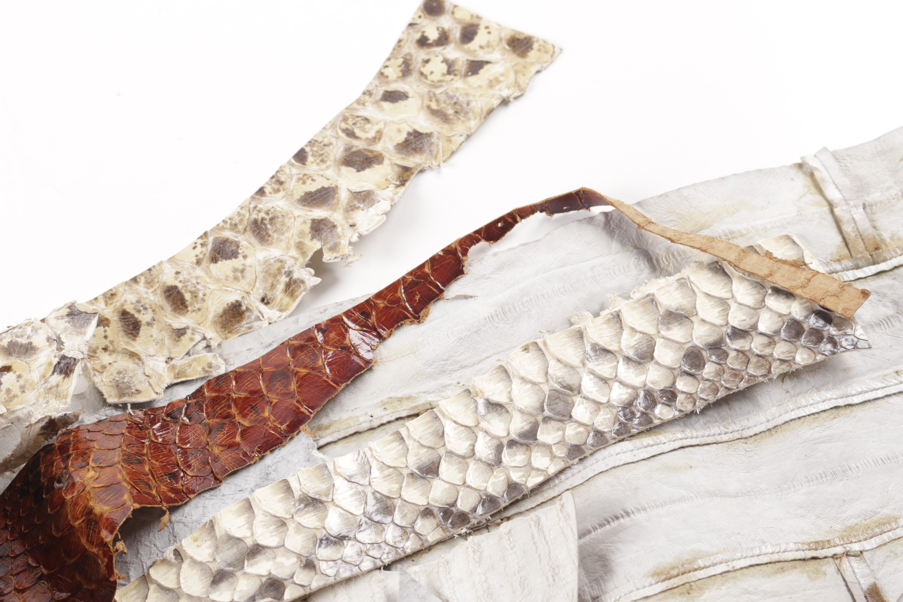 Snake Skin Leather and Hide Scraps