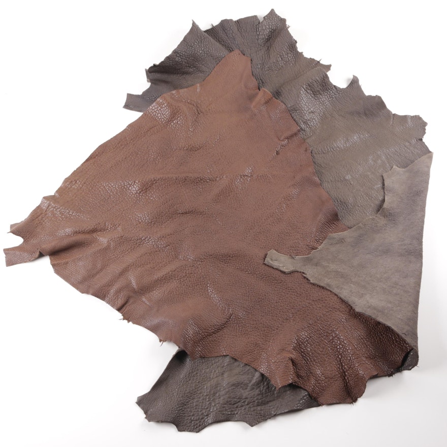 Brown Leather Hides