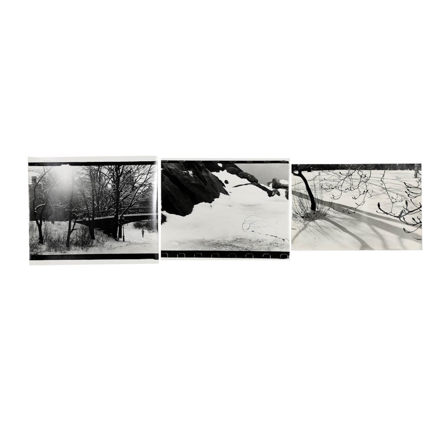 Collection of Donald Werner Black and White Analog Photographs of Winter Scenes