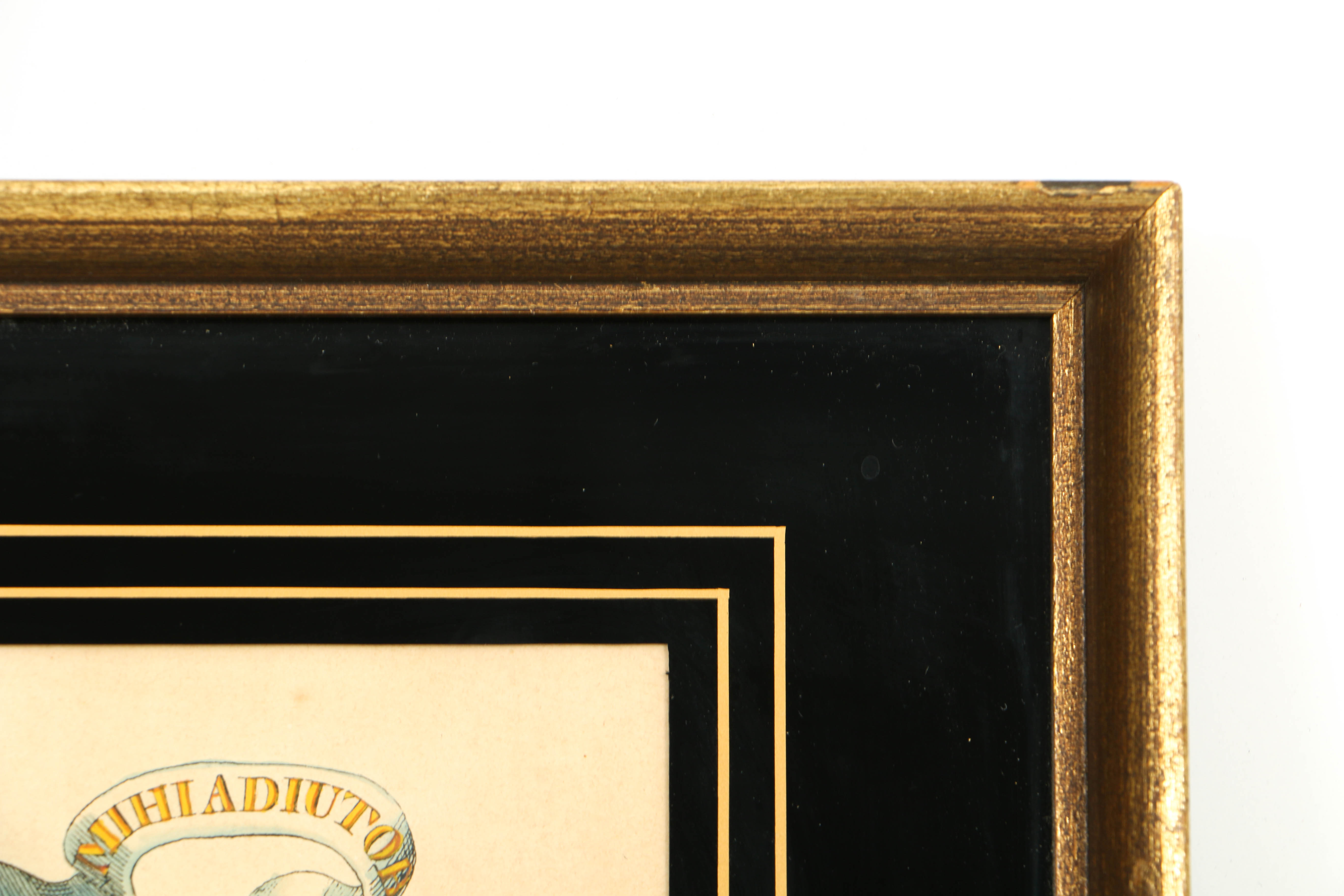 Seven Vintage Hand Colored Heraldic Bookplates, Framed and Sold by Clossons