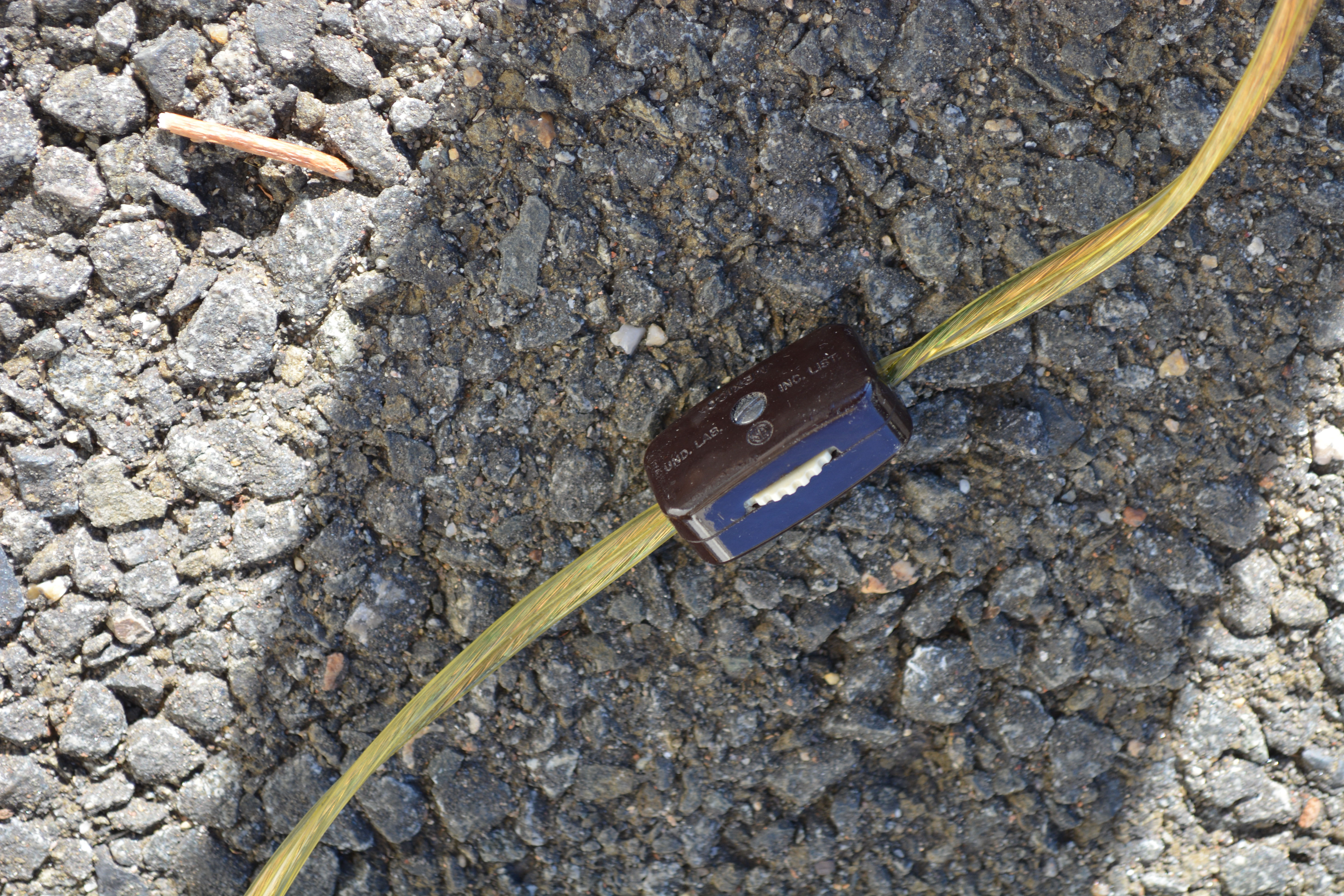 Brass Table Lamp with Dolphin Motif