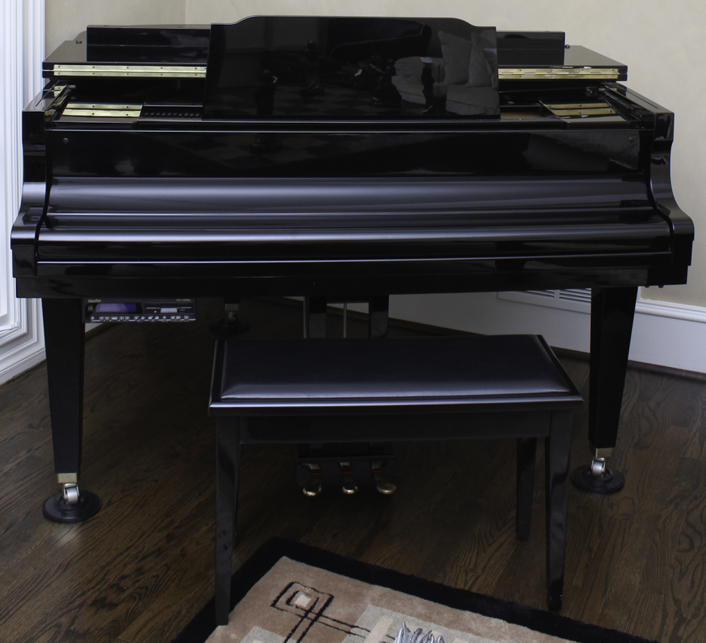 Tokai Baby Grand Digital Piano