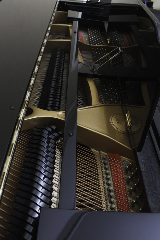 Tokai Baby Grand Digital Piano