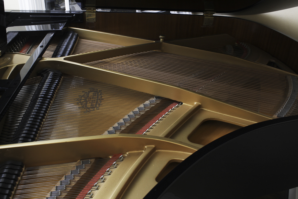 Tokai Baby Grand Digital Piano