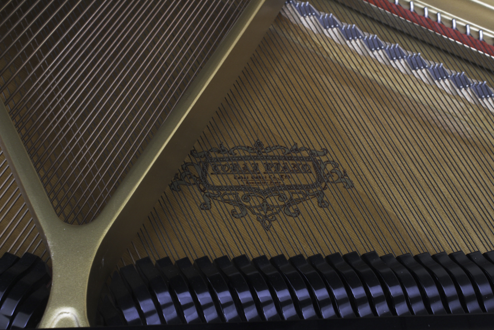 Tokai Baby Grand Digital Piano