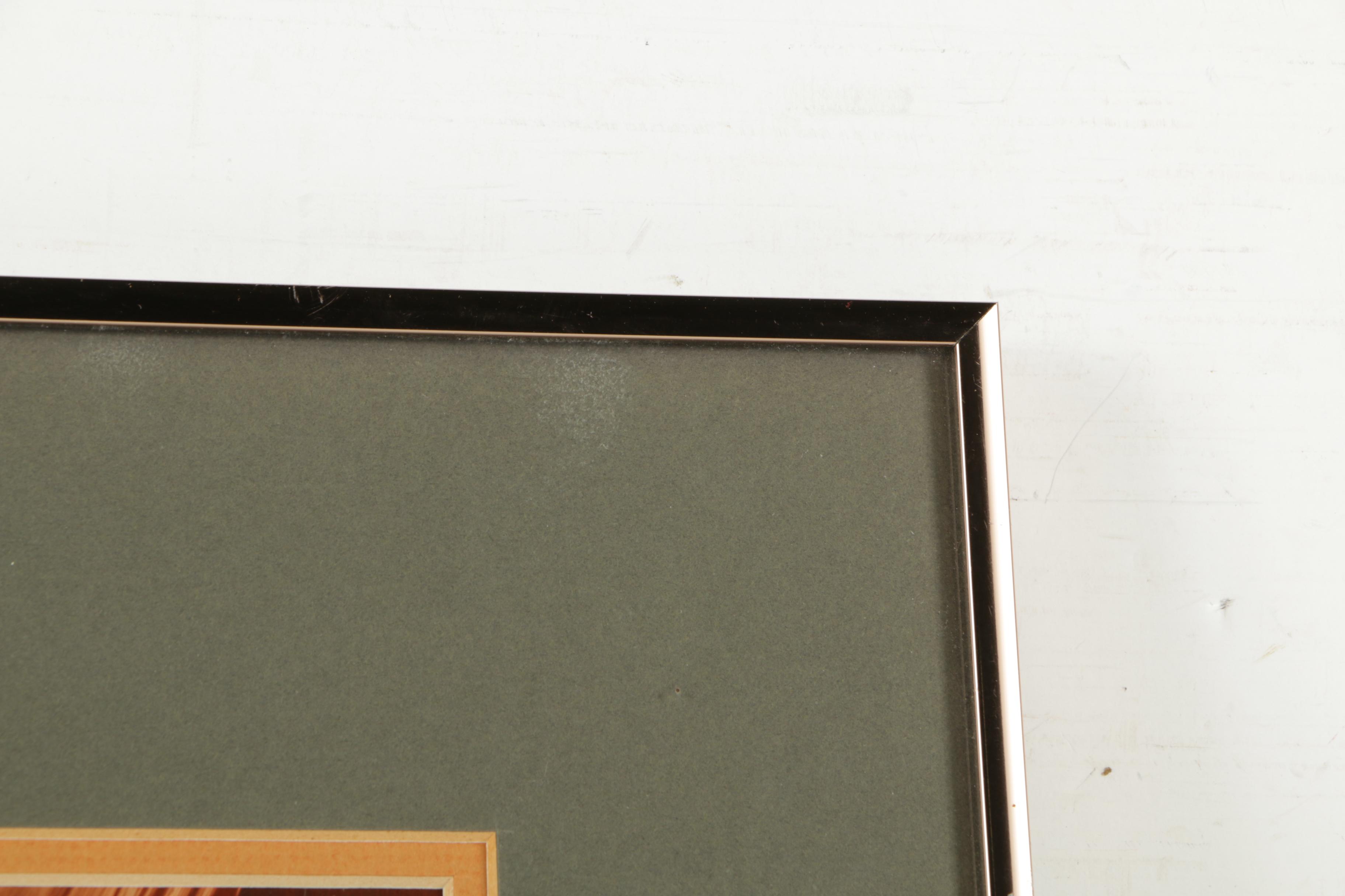 Fred Joy Limited Edition Photograph "The Watercourse"