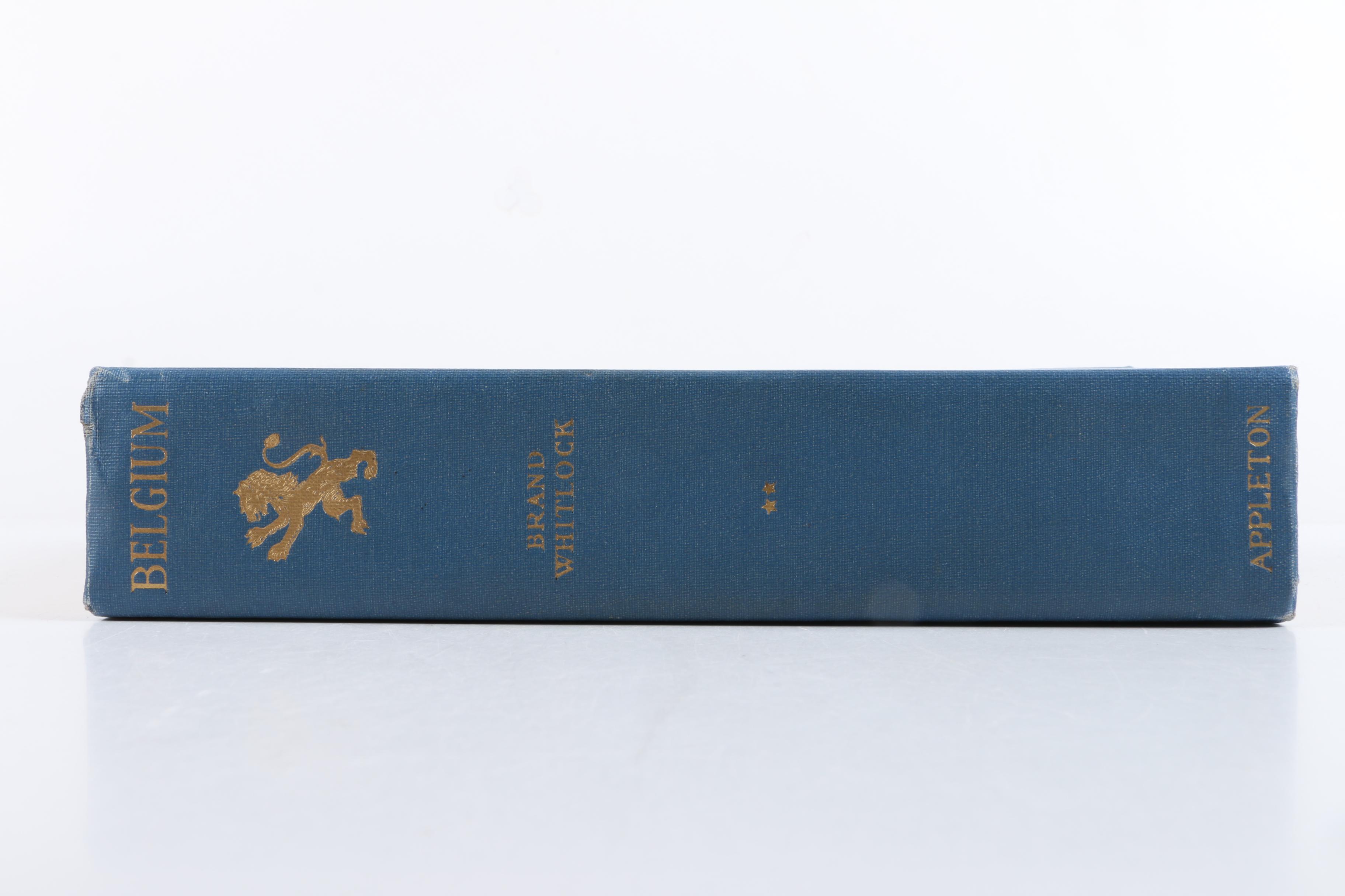 Assorted Antique and Vintage Hardcover Books featuring "Madame Bovary"