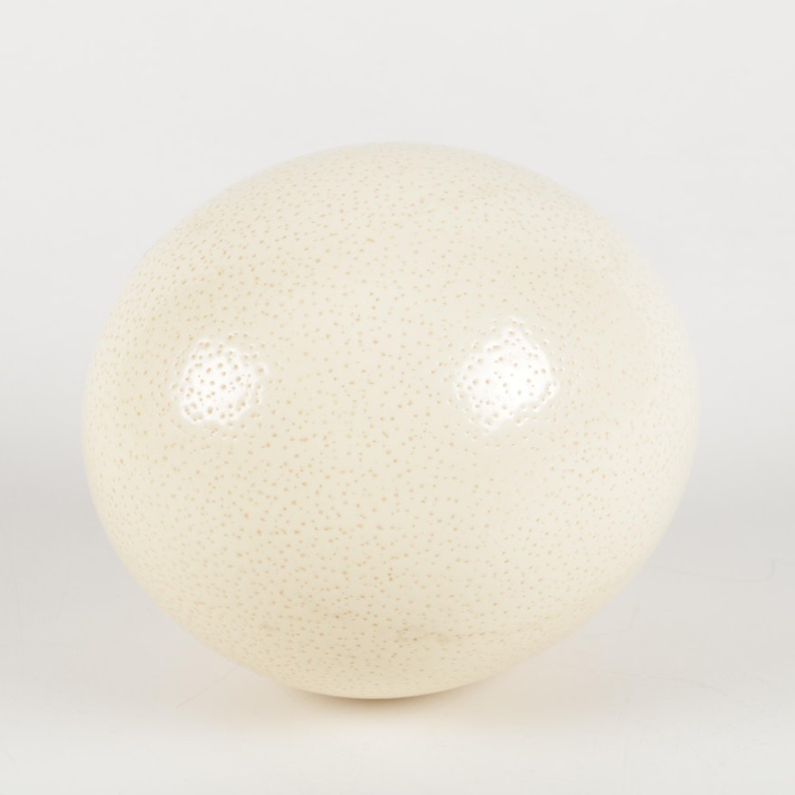 Ostrich Egg