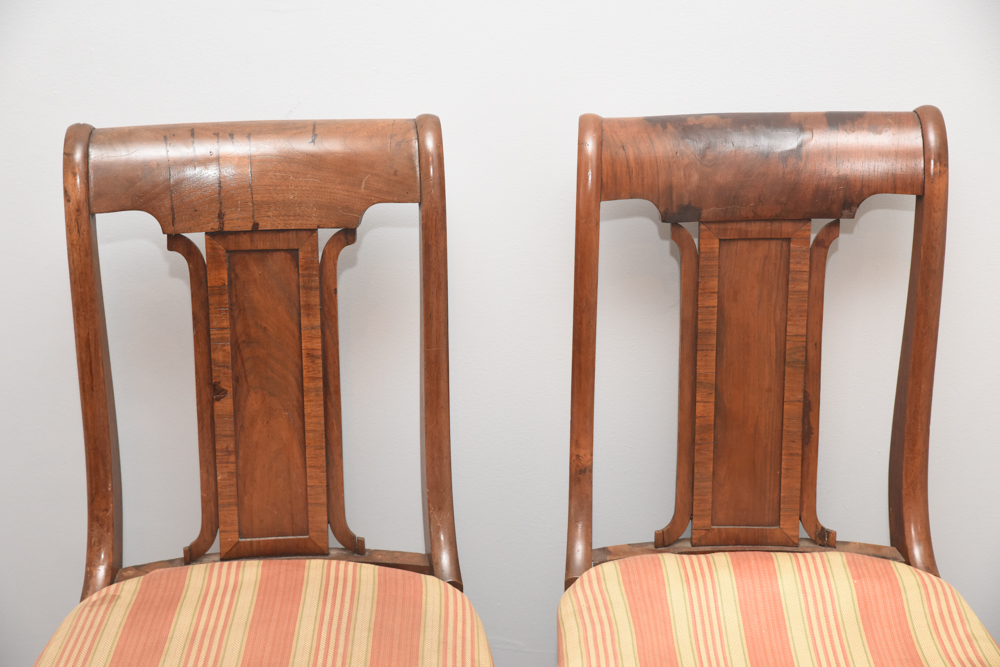 Pair of Antique American Classical Dining Chairs with Horse Hair Seats