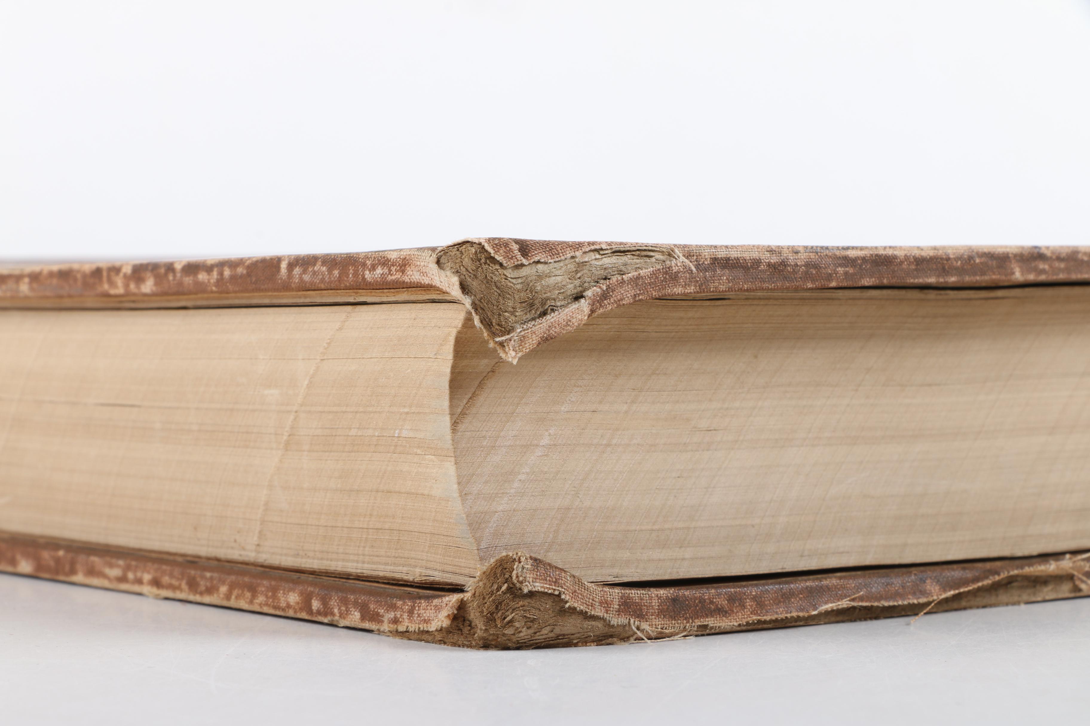 1891 "Shepp's Photographs of the World"