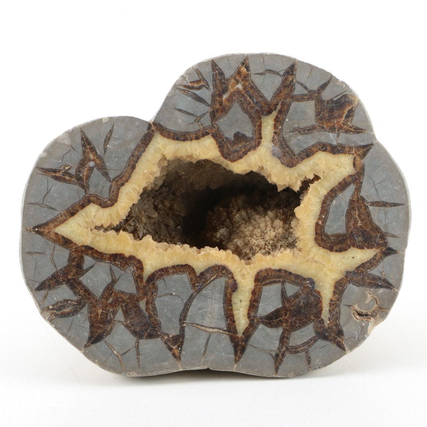 Septarian Geode