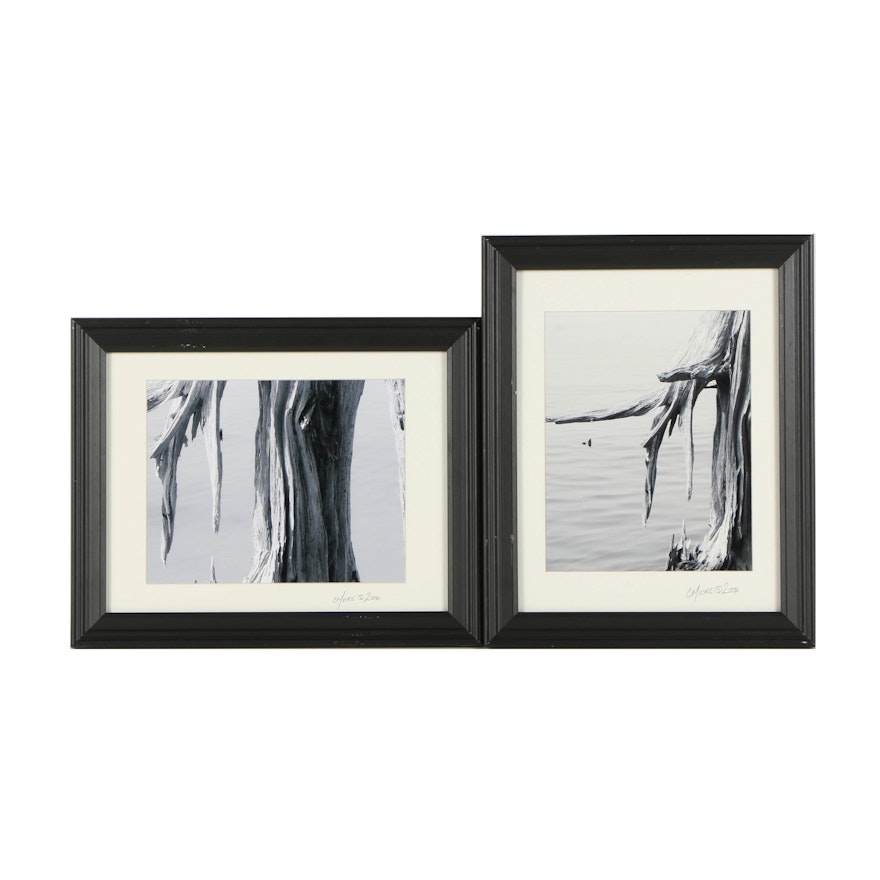 C. Moore Photographs on Paper of Driftwood