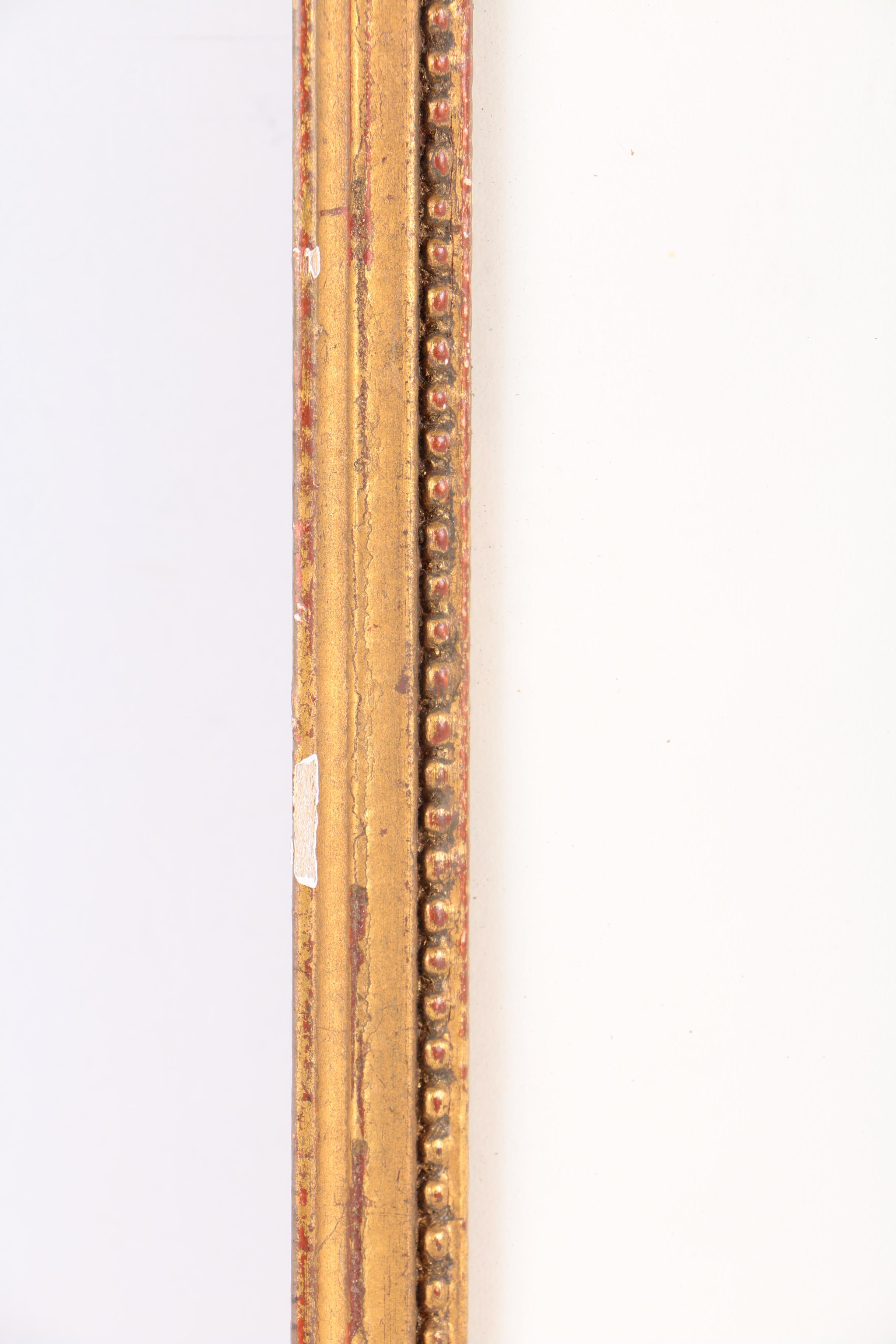 Watercolor Painting on Paper of Collybia Radicata Mushroom