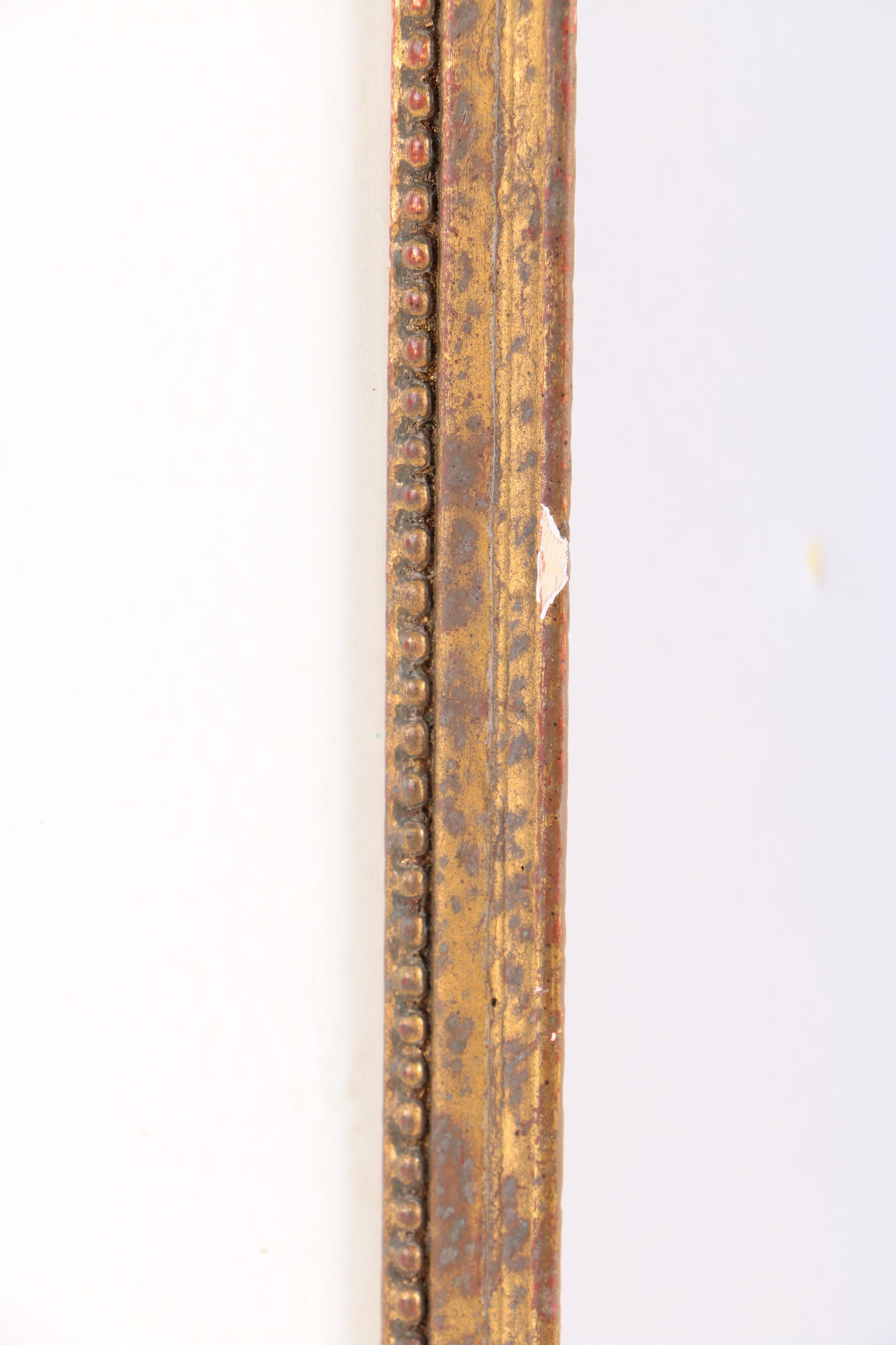 Watercolor Painting on Paper of Collybia Radicata Mushroom